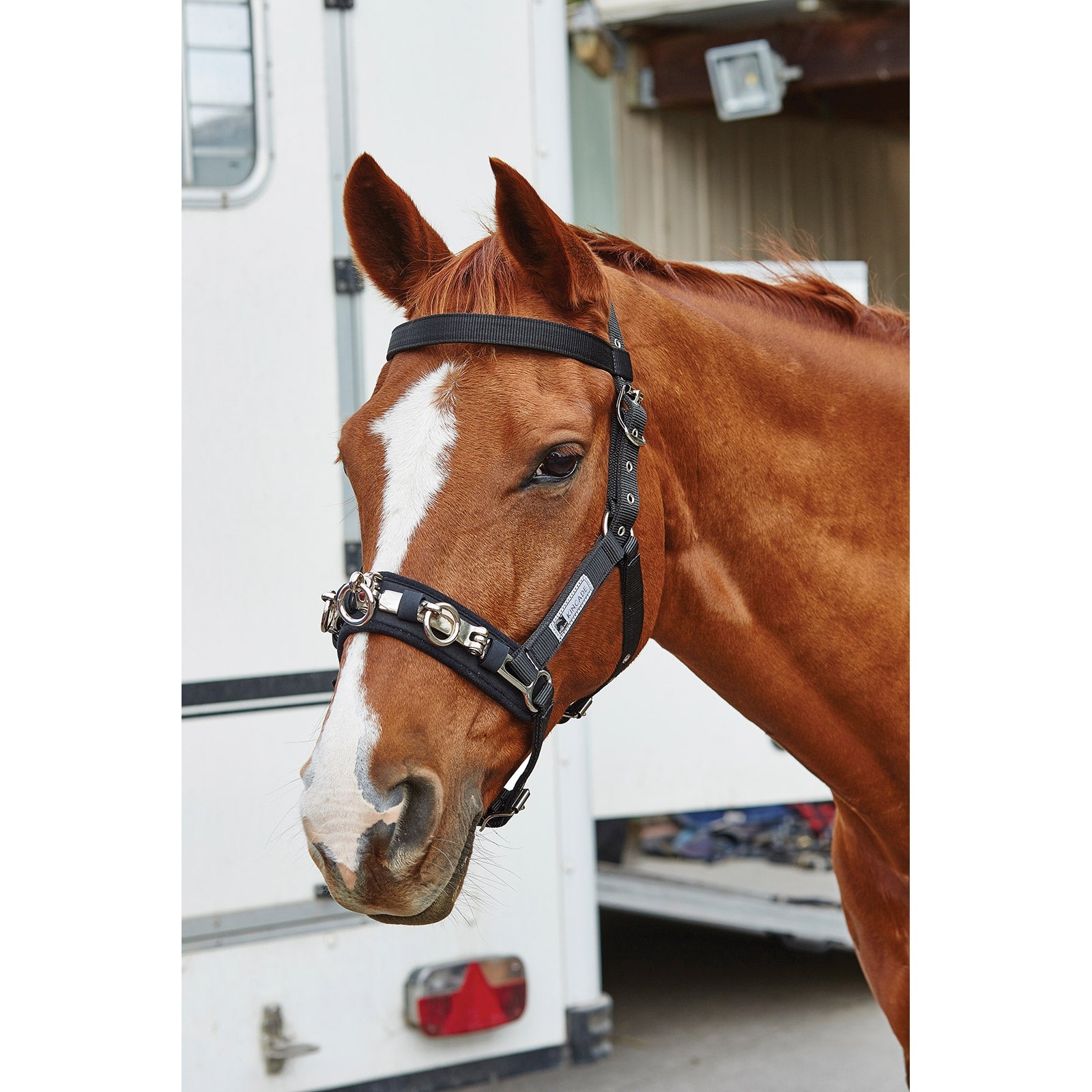 Kincade Coordinate longeringskapson Träning & longering