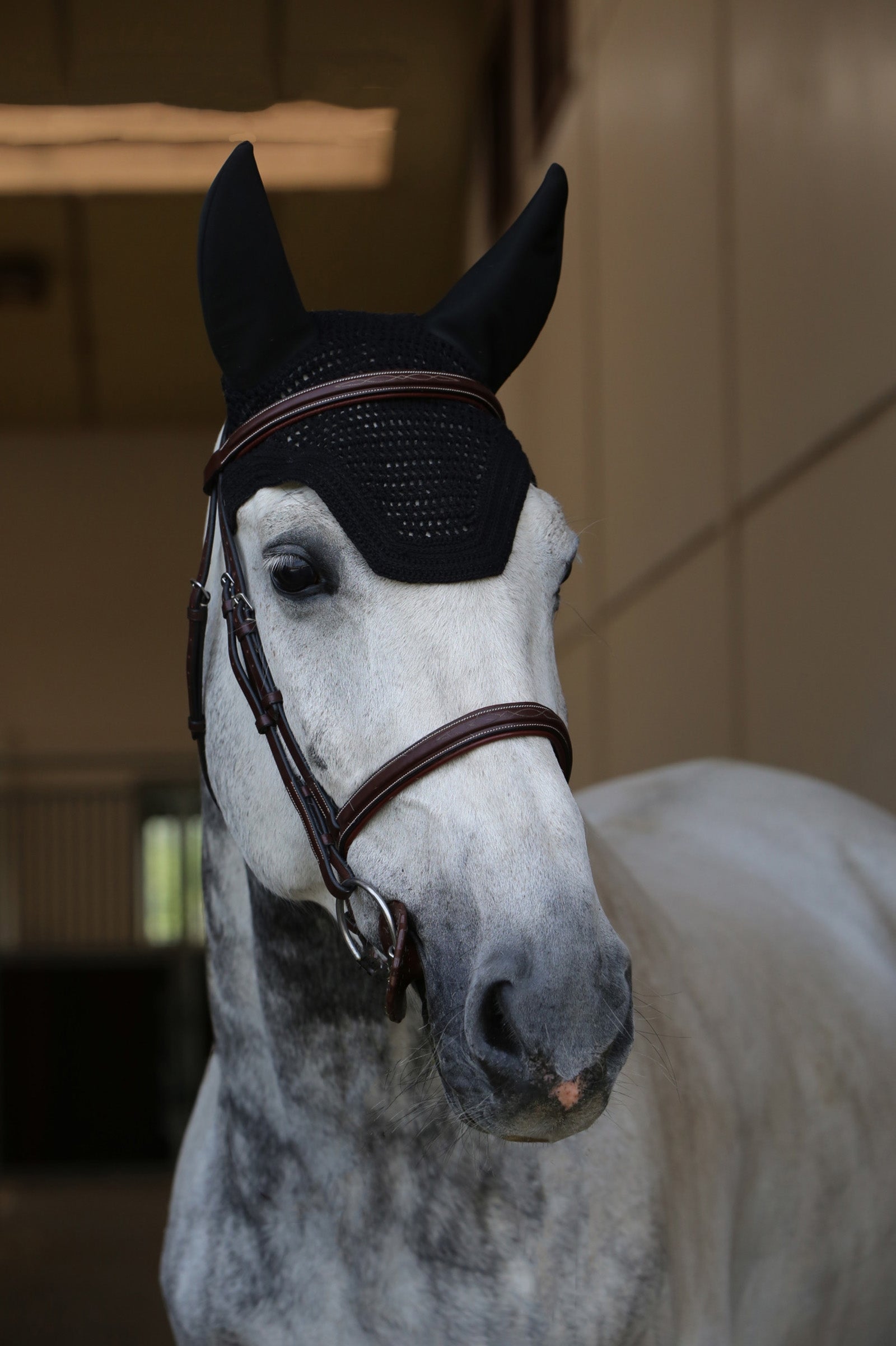 Kentucky Horsewear Wellington Soundless ridhuva Schabrak