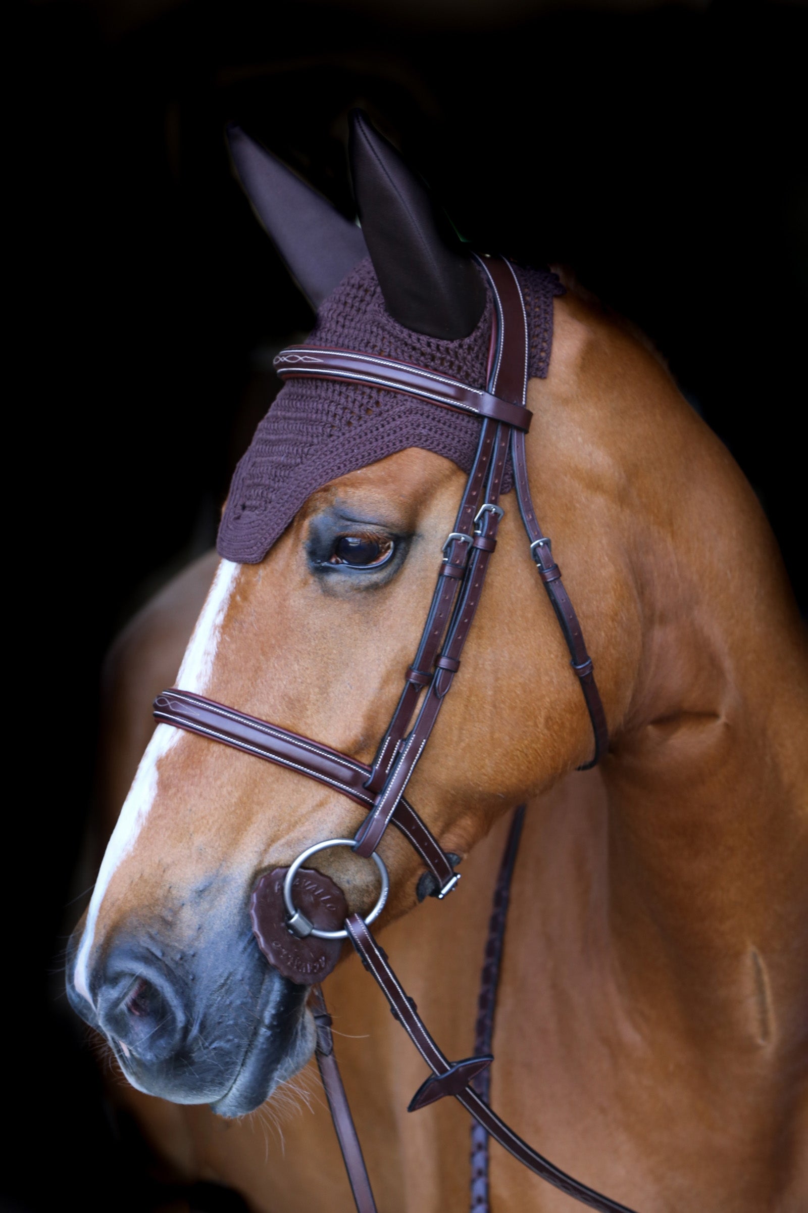 Kentucky Horsewear Wellington Soundless ridhuva Schabrak