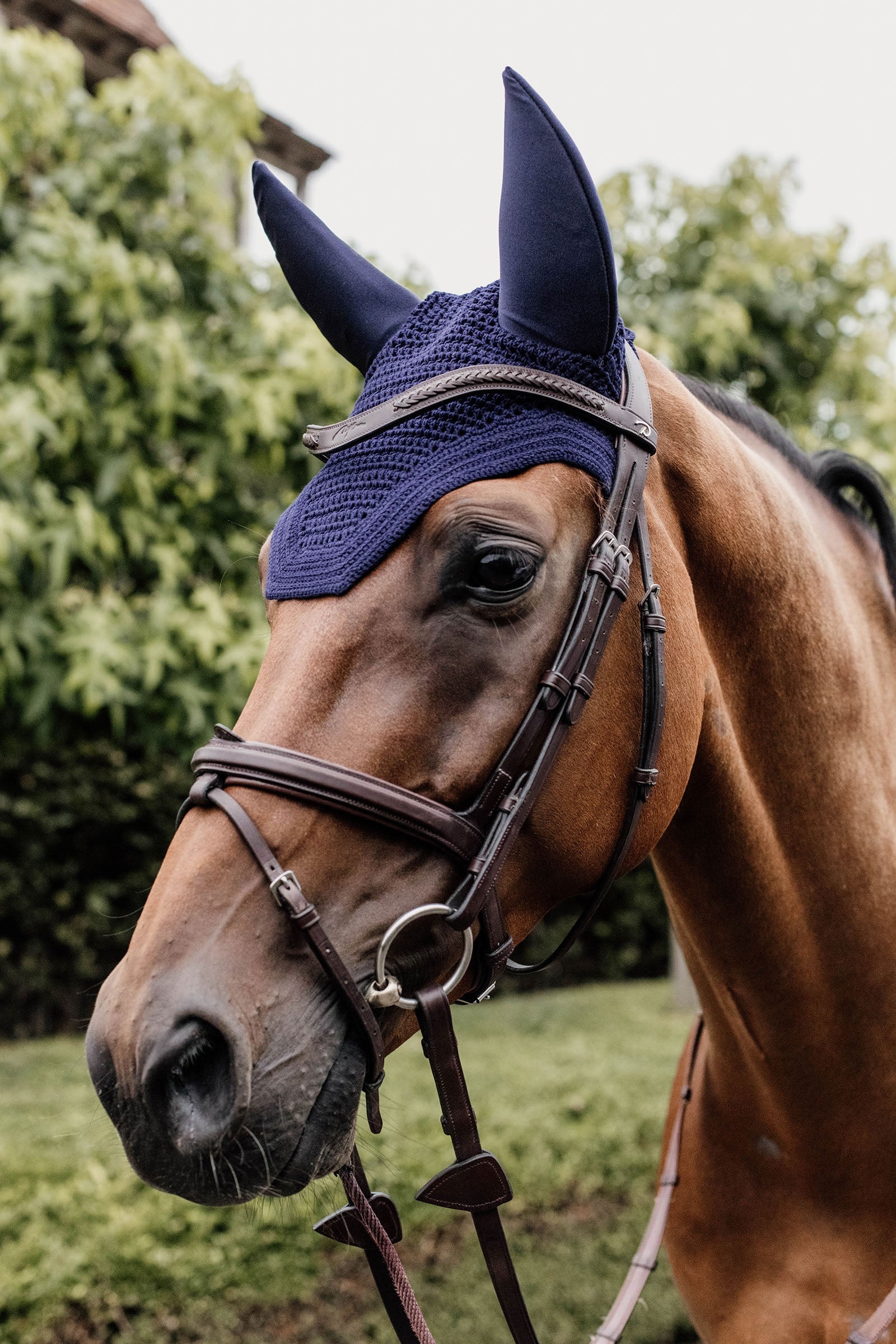 Kentucky Horsewear Wellington Soundless ridhuva Schabrak