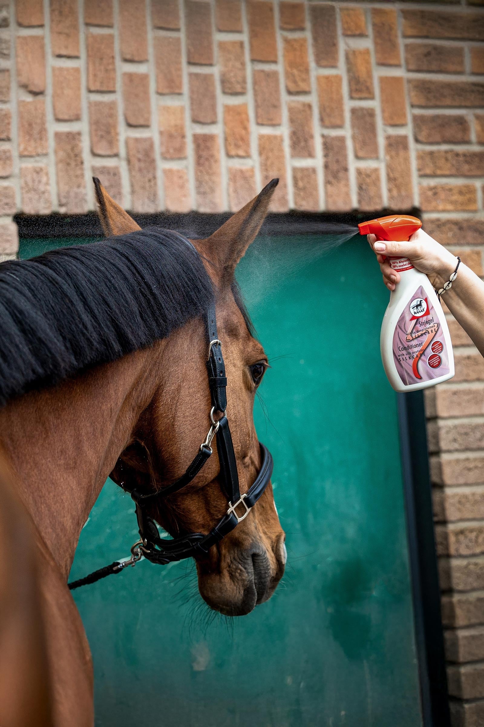 Leovet SILKCARE Conditioner 550ml Horse Health Care