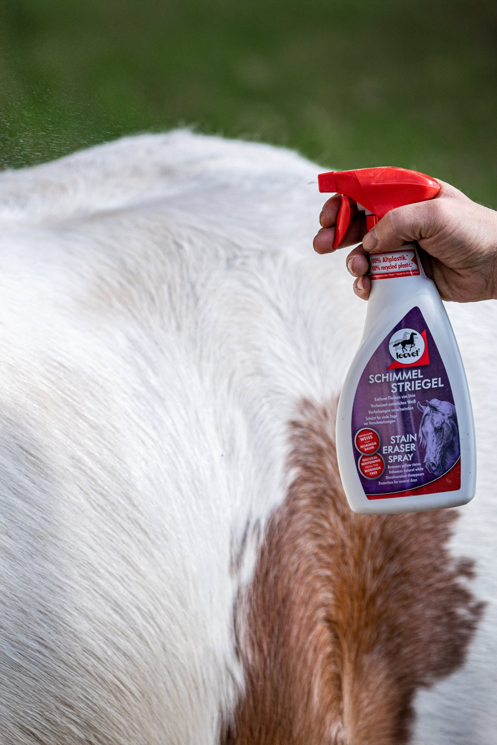 Leovet Stain Eraser Spray Horse Health Care