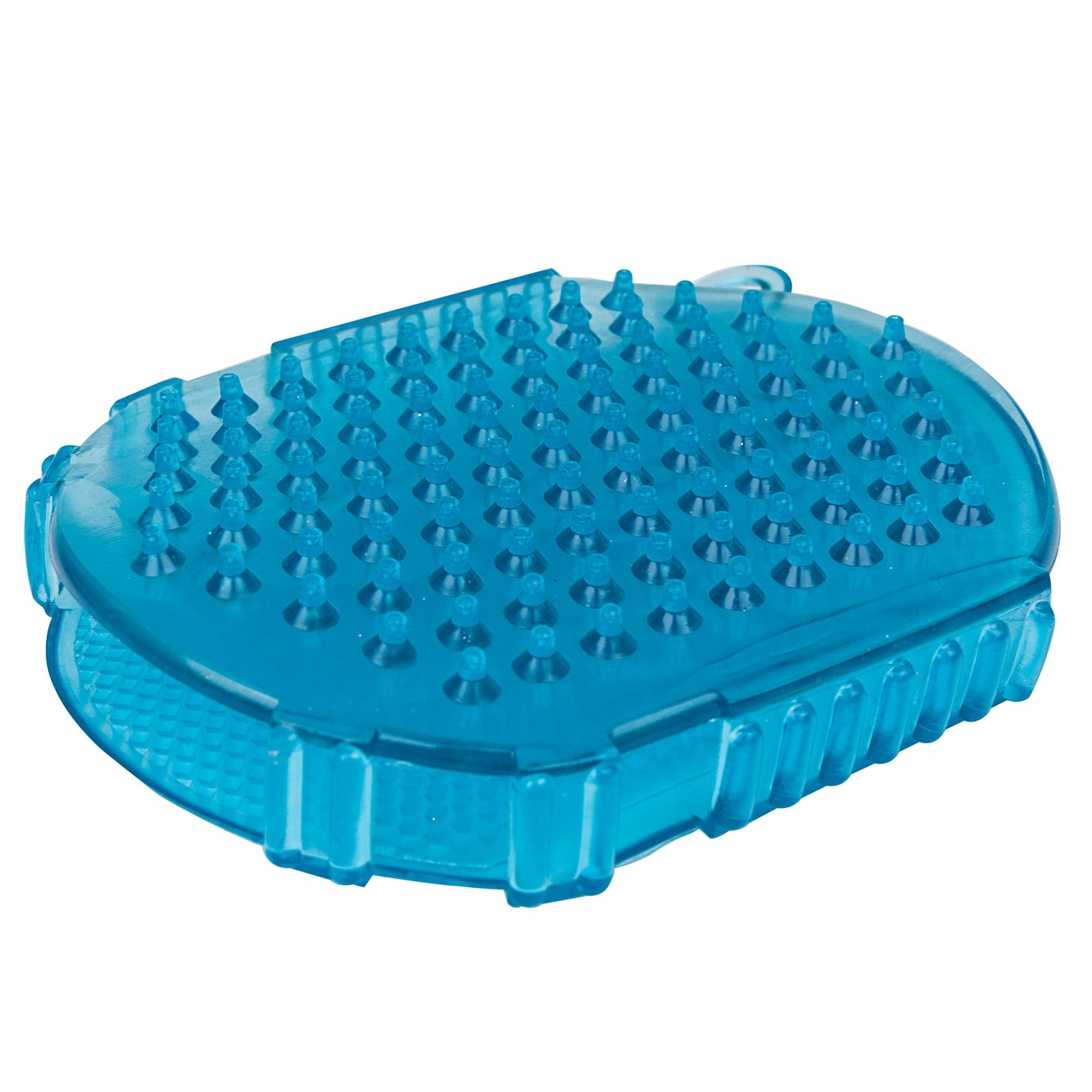 Roma Brights Massage Glove Horse Grooming Tools