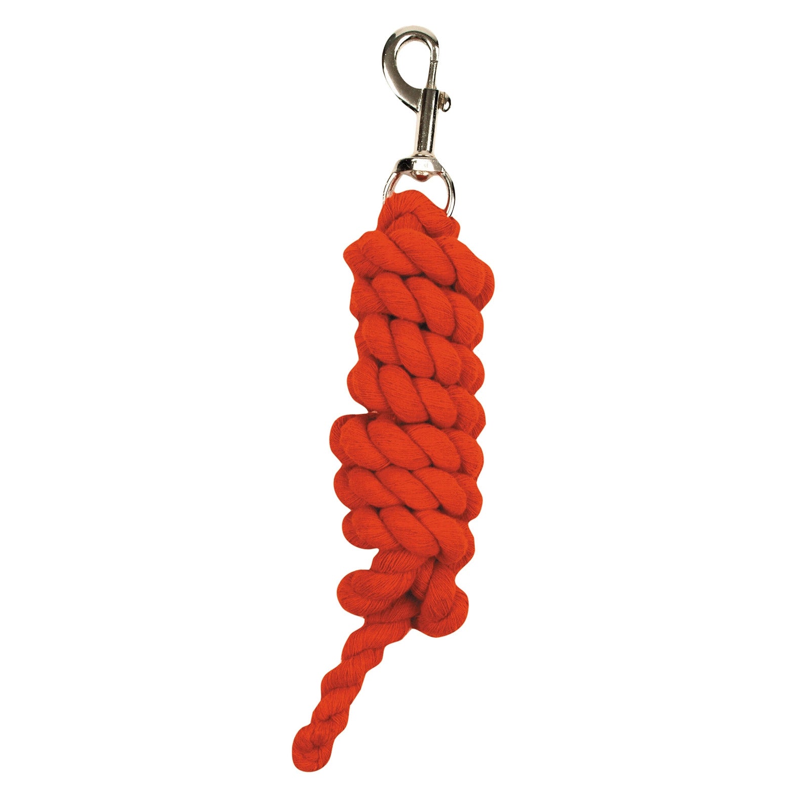 Roma Lead Halters & Leads