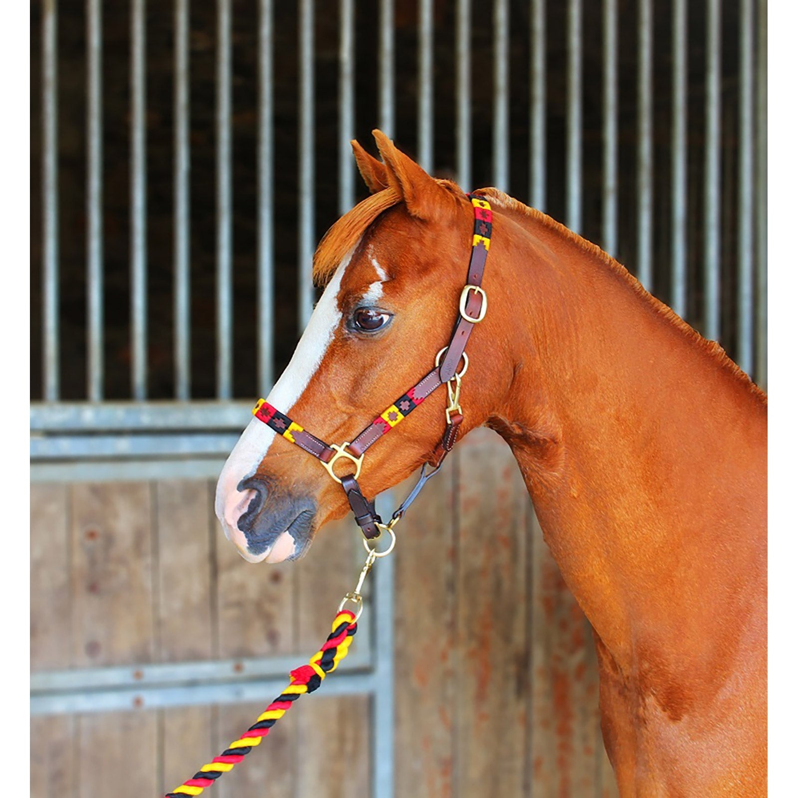 Chukka Leather Headcollar Halters & Leads
