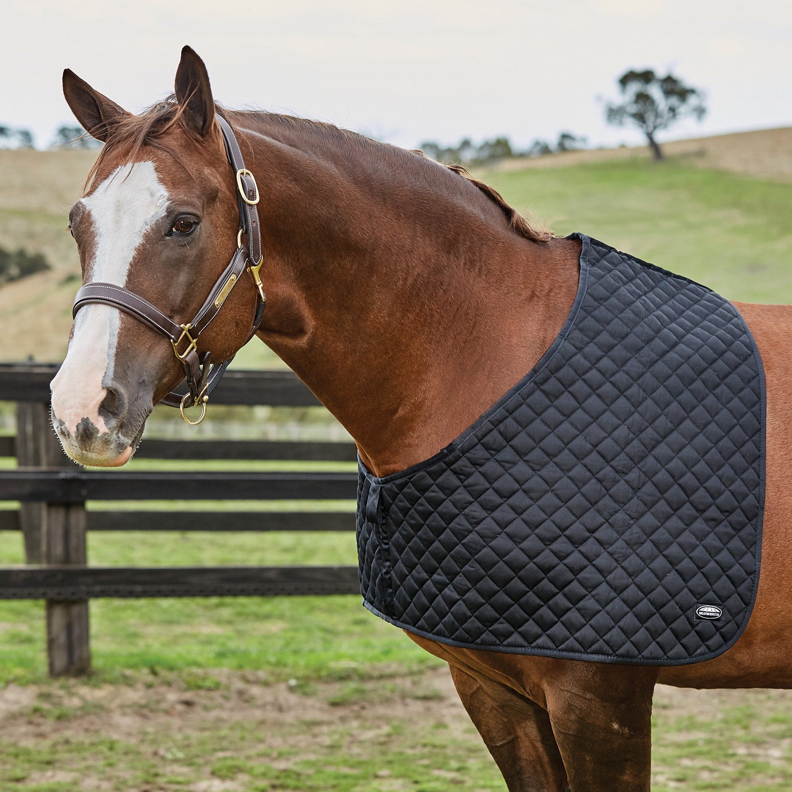 Weatherbeeta Deluxe Shoulder Guard Horse Rugs
