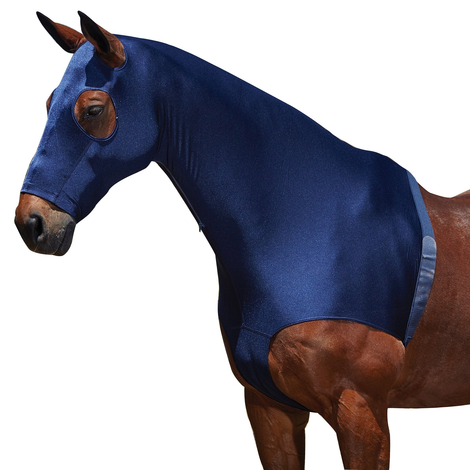 Weatherbeeta Stretch Hood With Zip Horse Rugs