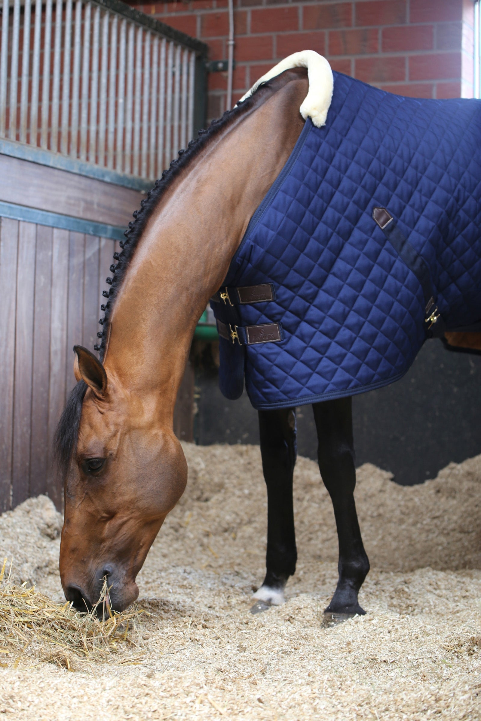 Kentucky Horsewear Stable Rug, 400g Horse Rugs