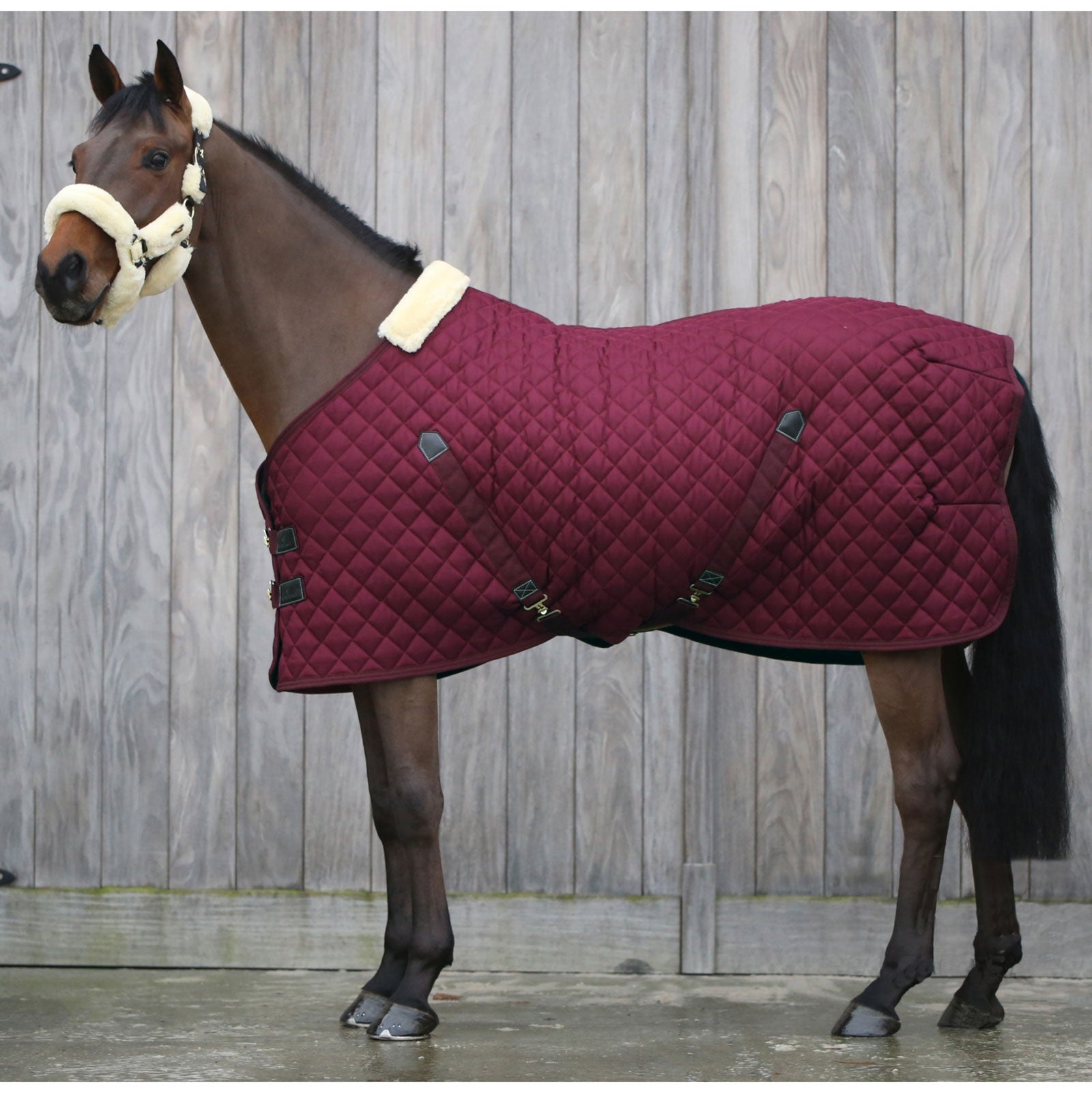 Kentucky Horsewear stalltäcke 400 g Hästtäcken