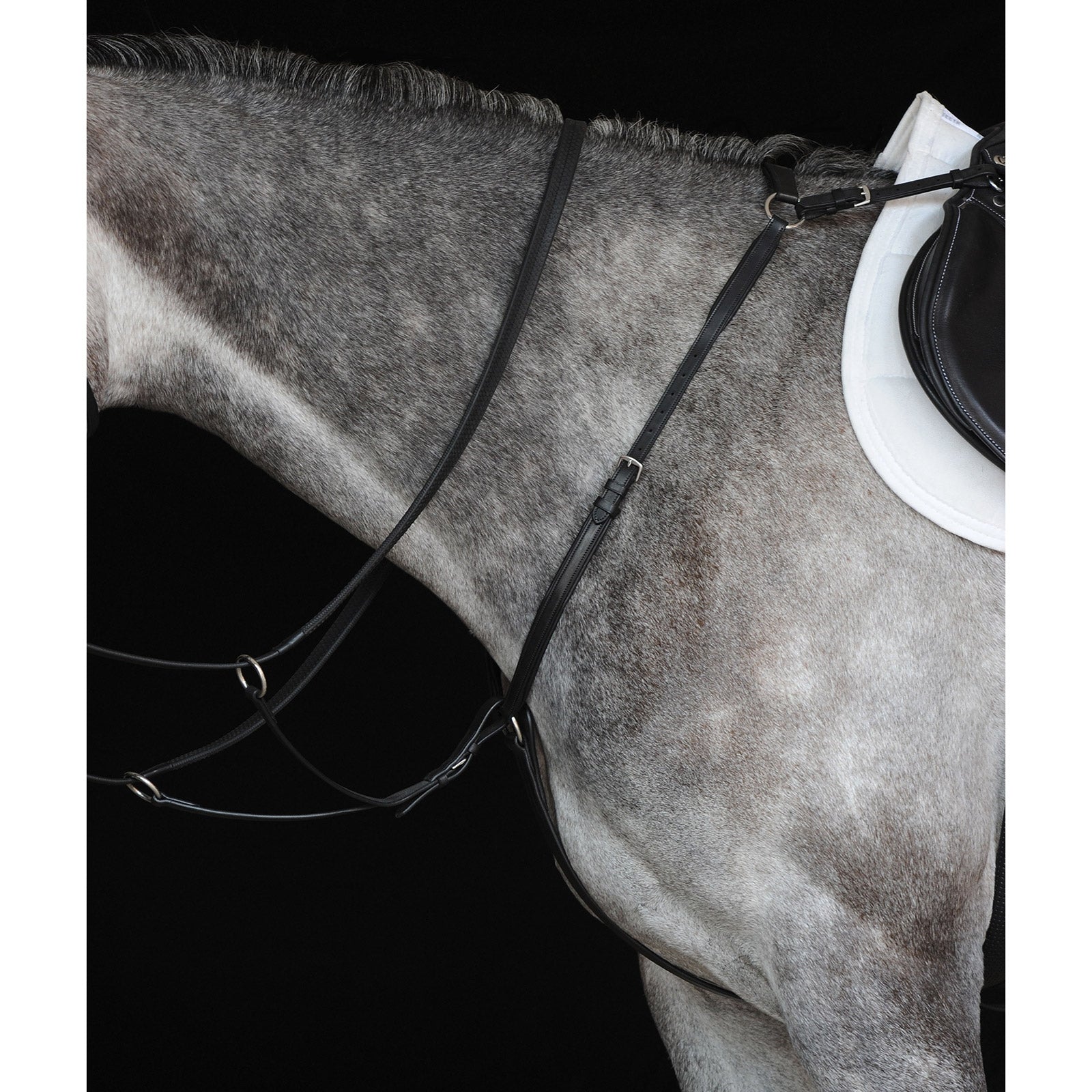 Collegiate Hunter förbygel IV Träns & Tyglar