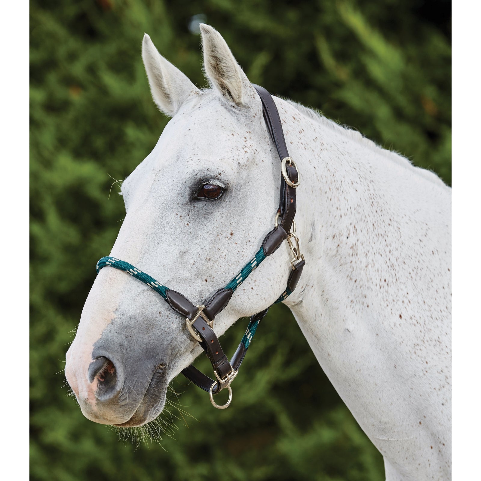 Kincade lädergrimma med repdetaljer Grimma & grimskaft