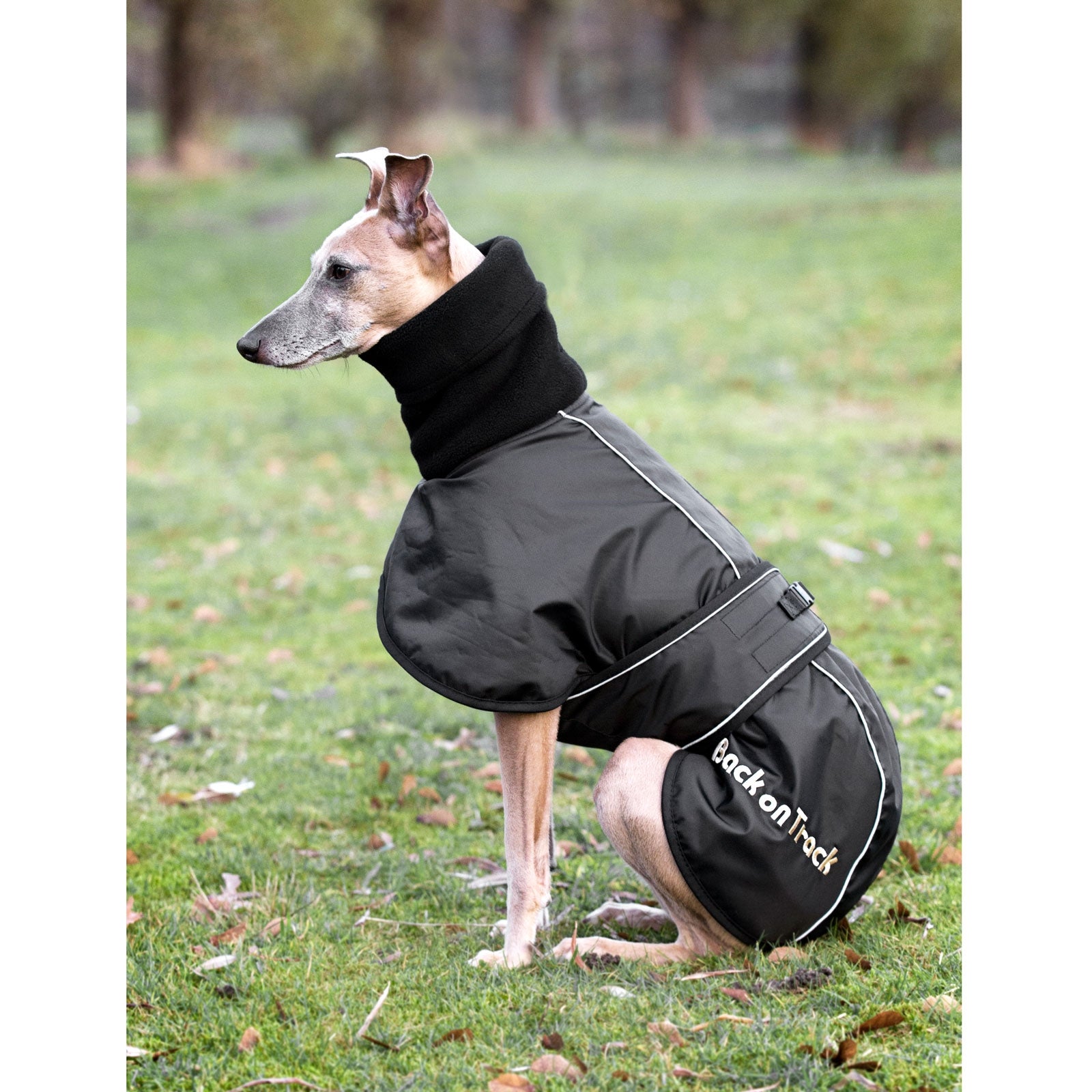 Back on Track Whippet hundtäcke, L-XXL Utrustning för hundar