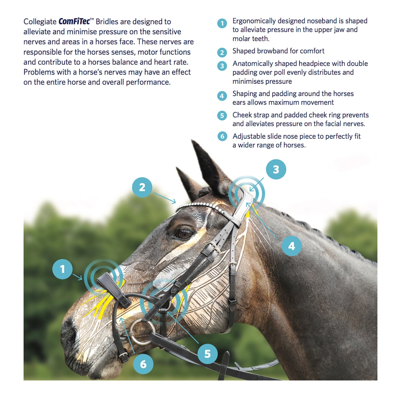 Collegiate ComFiTec Training Bridle Bridles & Reins