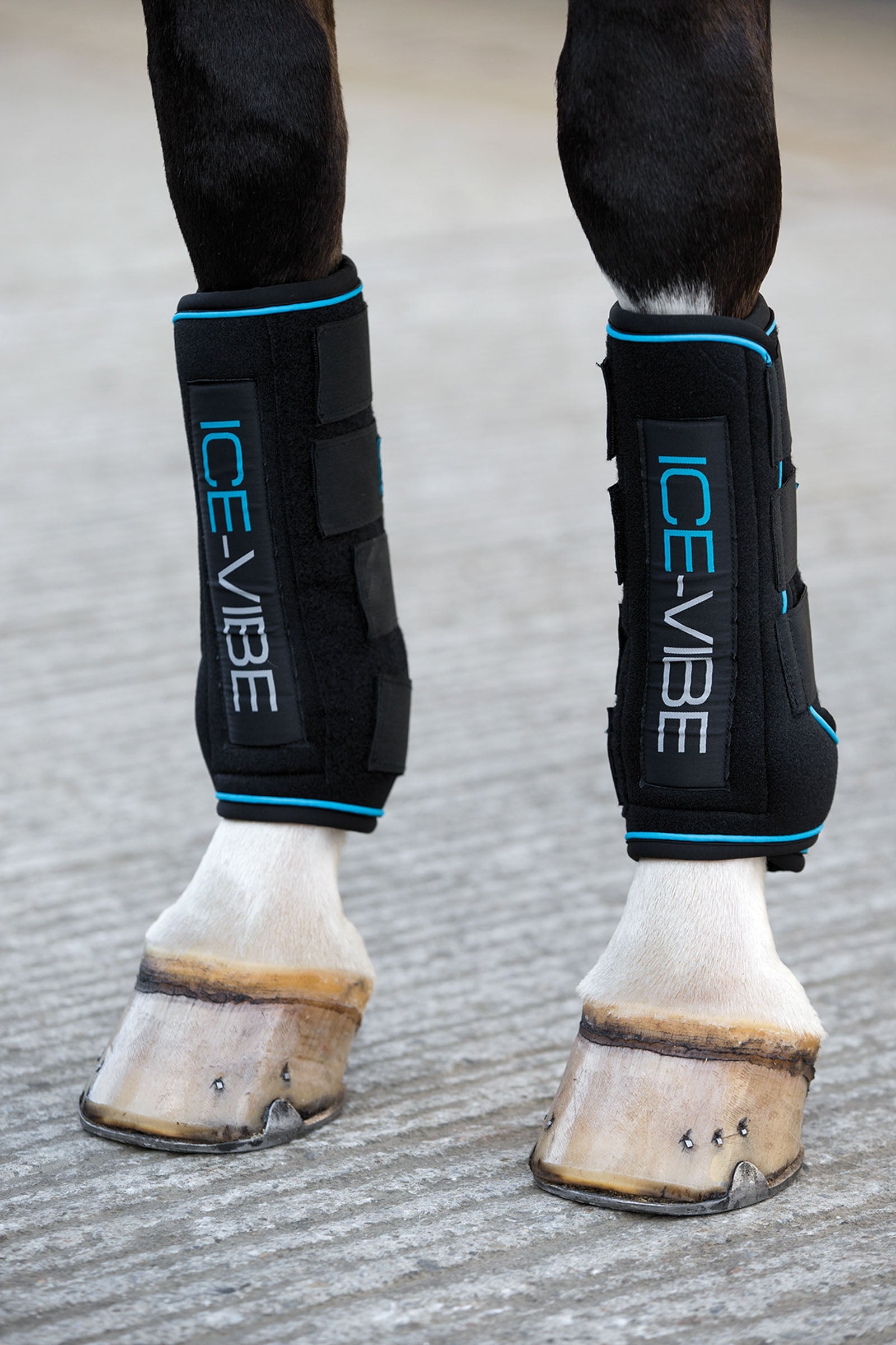 Horseware Ice-Vibe benskydd Leg Protection & Hoof Protection for Horses