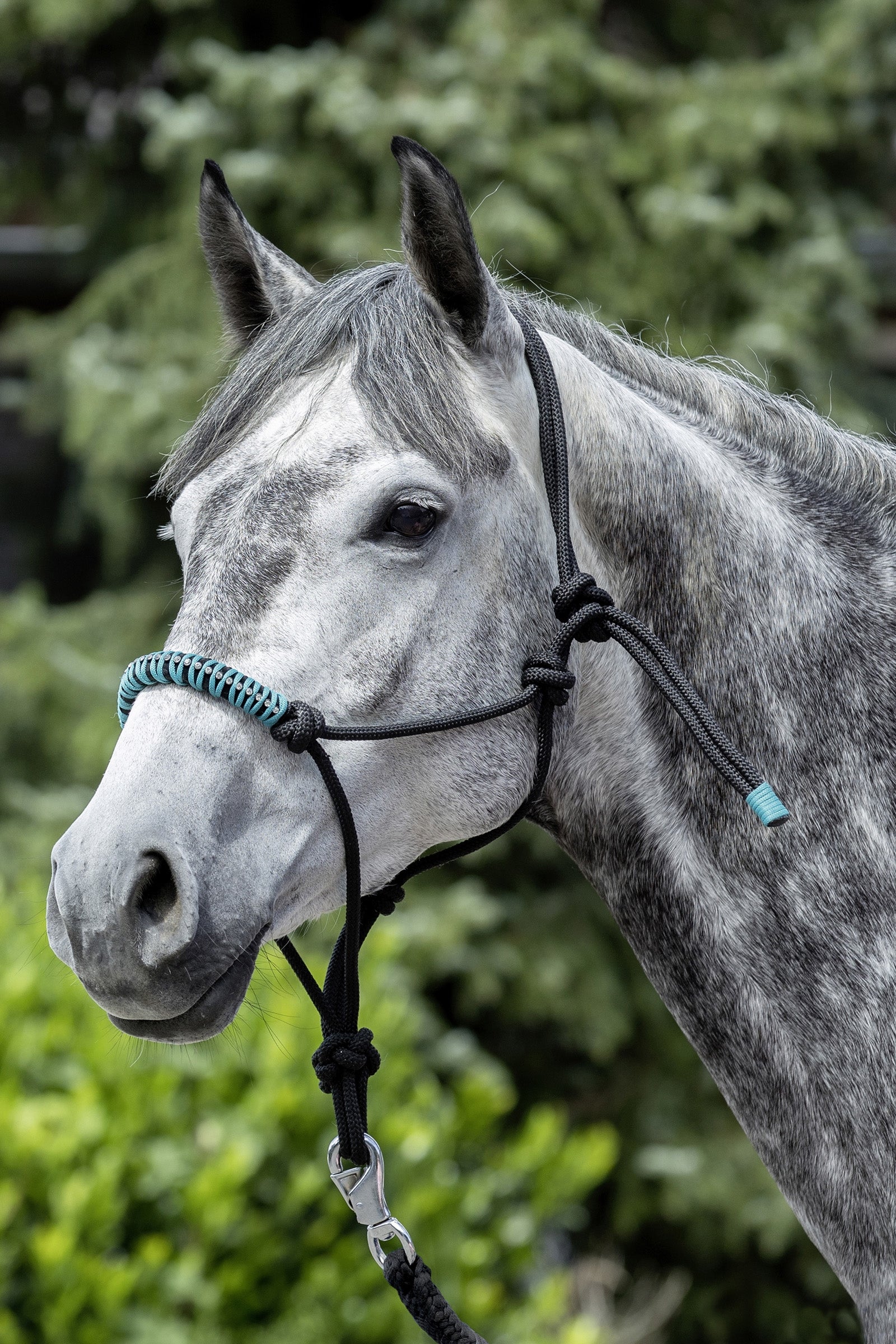 USG knuten repgrimma Grimma & grimskaft