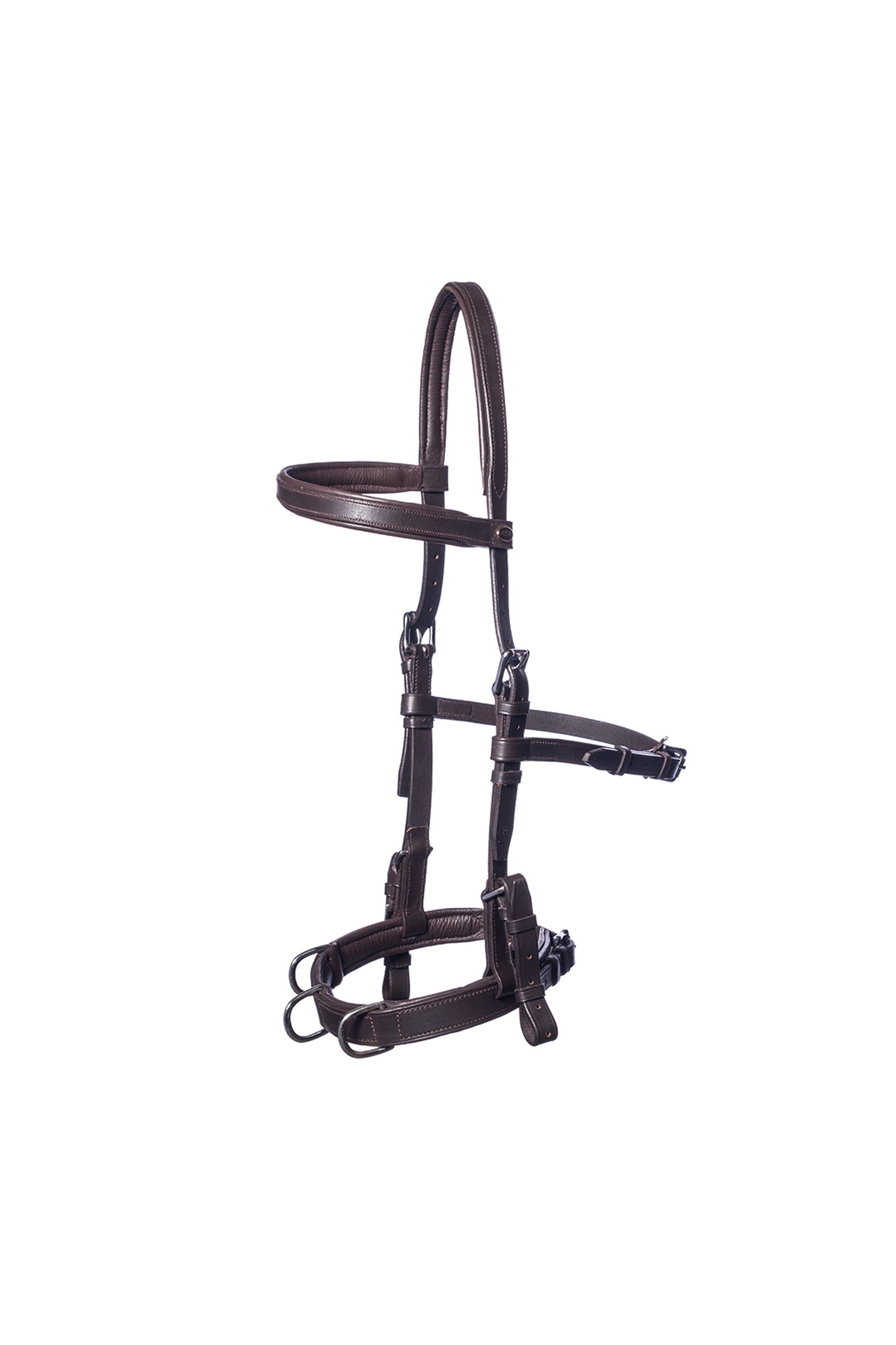 F.R.A. Freedom Riding Articles Baro capson, läder (Shire) Träning & longering