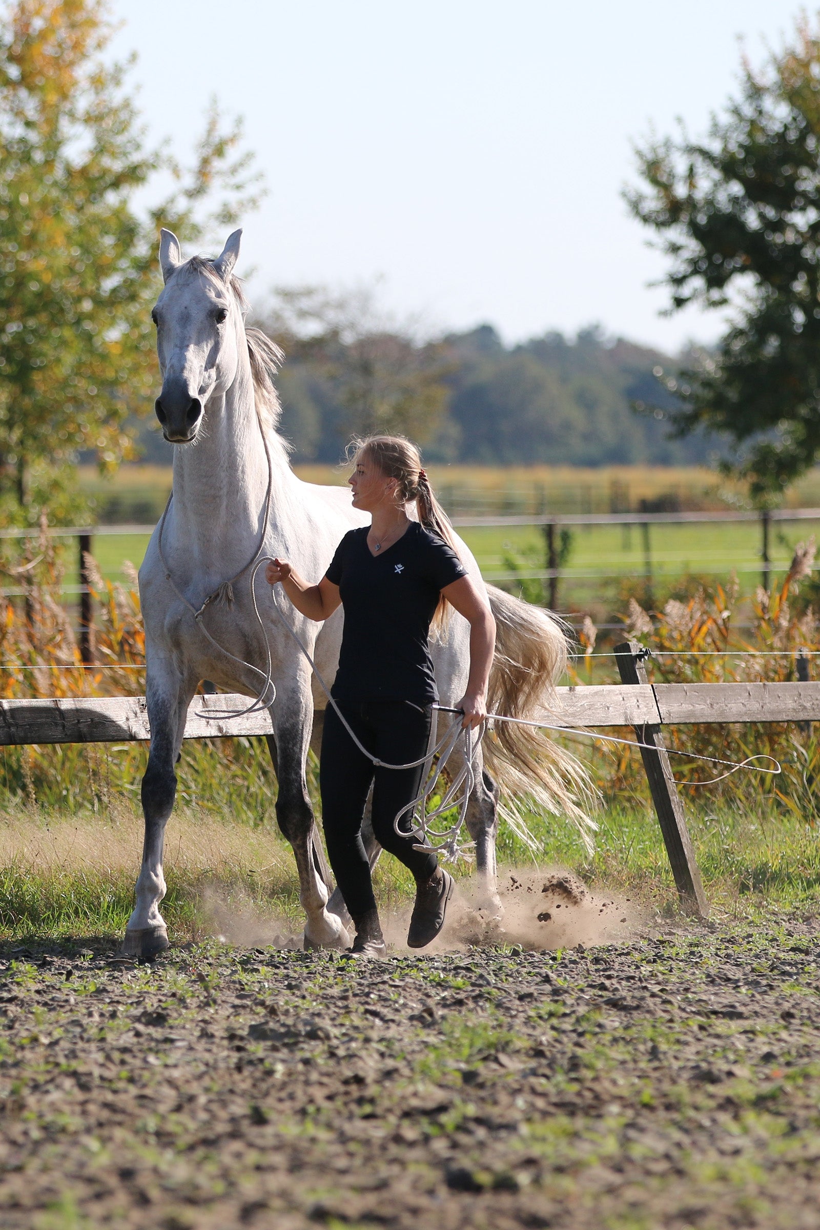 F.R.A. Freedom Riding Articles Flinn Working Line Cotton, 820 cm Horse Training
