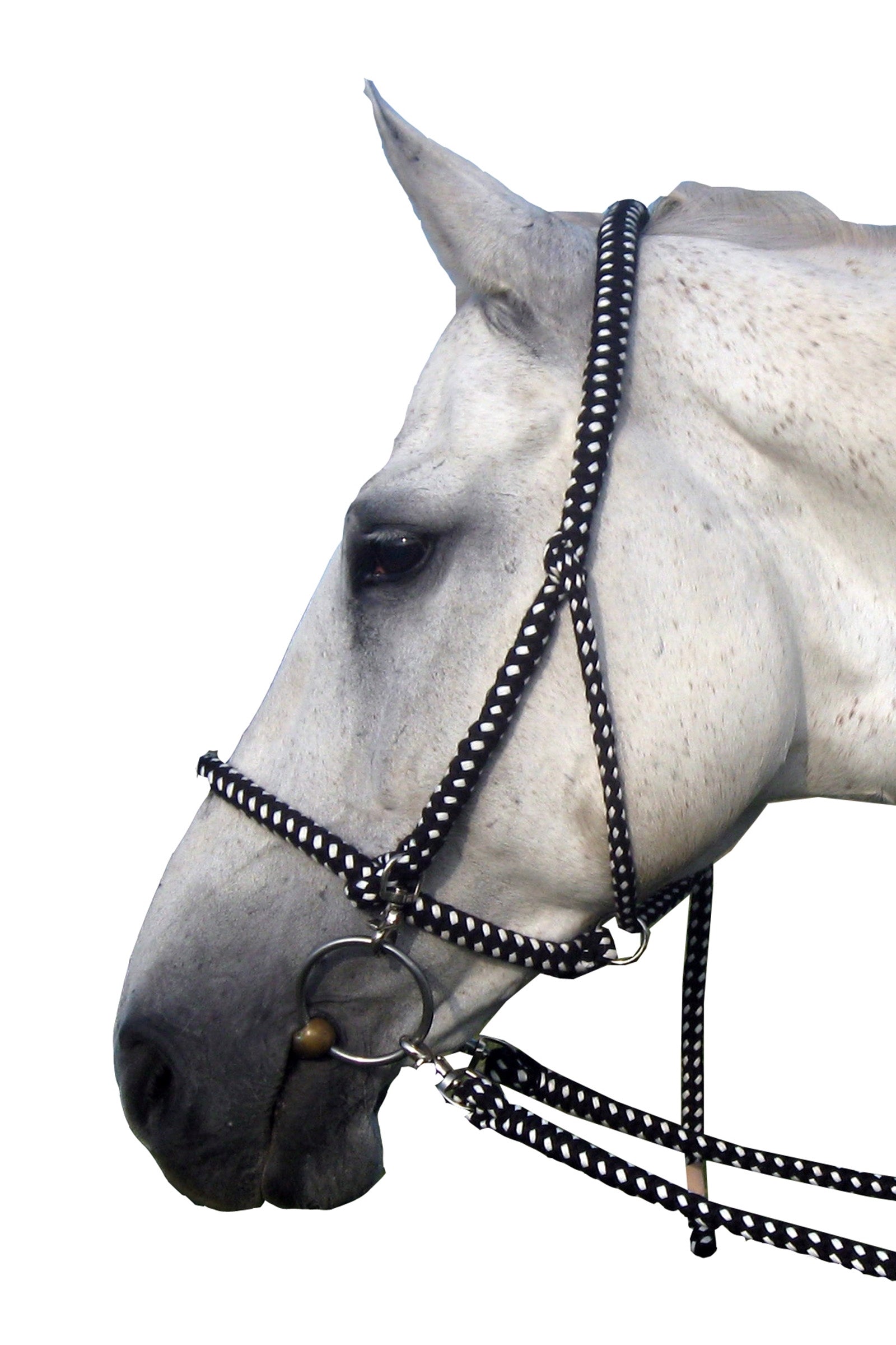 F.R.A. Freedom Riding Articles Gregor kombinationsträns, med bomullstyglar Grimma & grimskaft