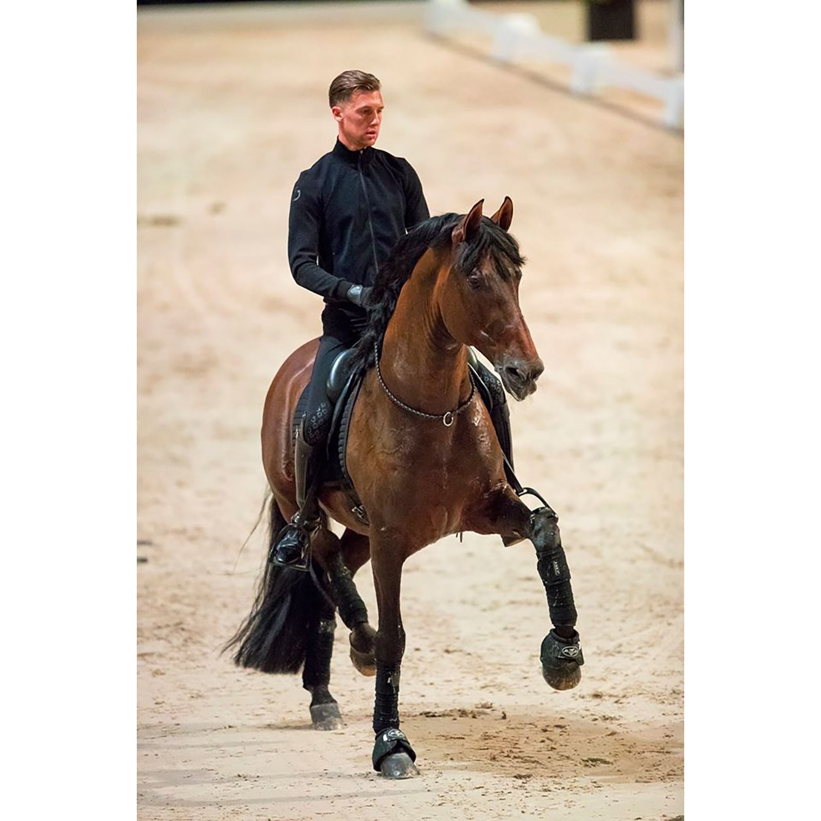 F.R.A. Freedom Riding Articles Kripton halsrem (System 1) vävt läder, 15 mm Träns & Tyglar