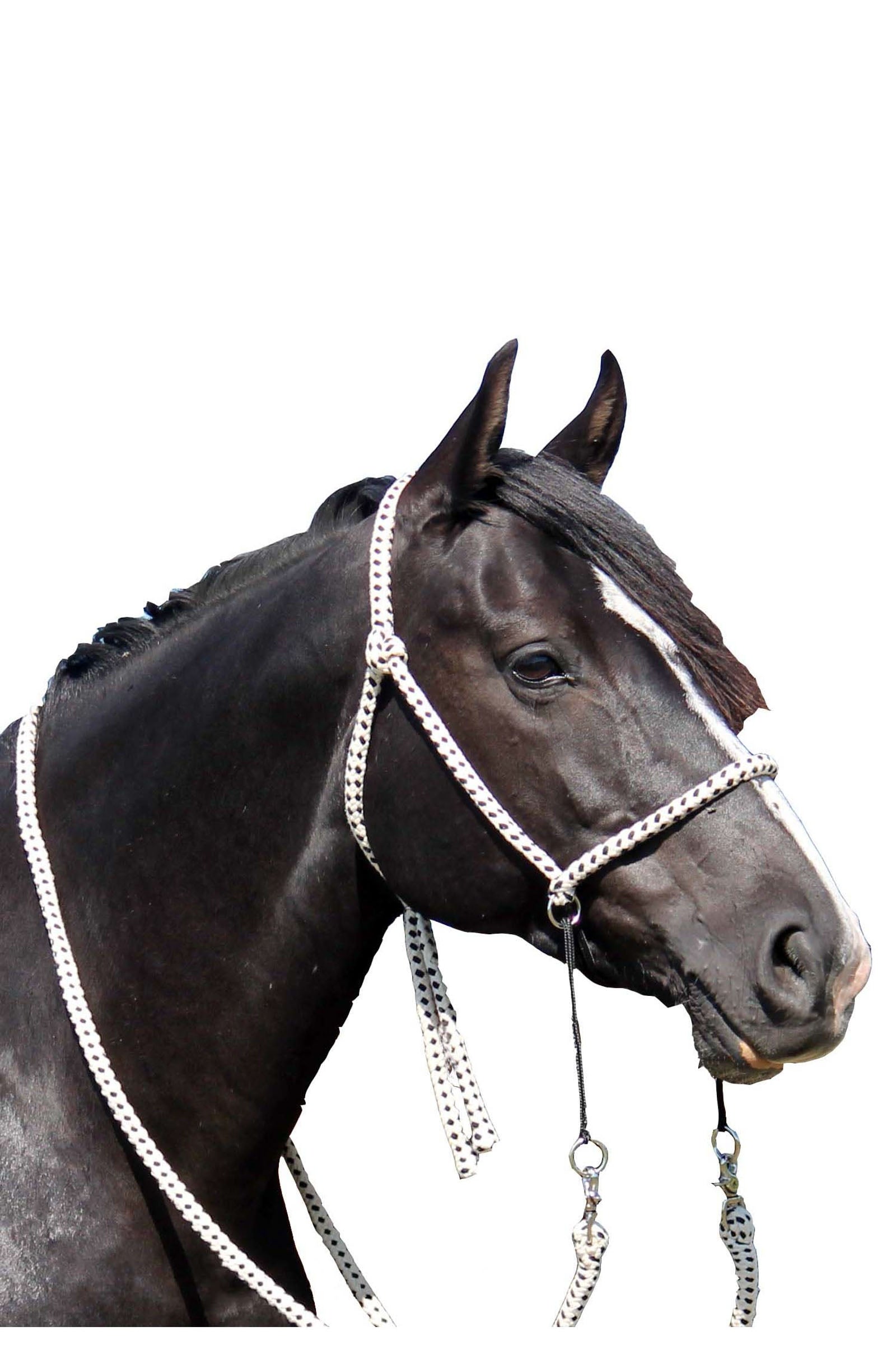 F.R.A. Freedom Riding Articles Nanouk Bitless Bridle (System 4) Cotton w/ Clip Reins Bridles & Reins