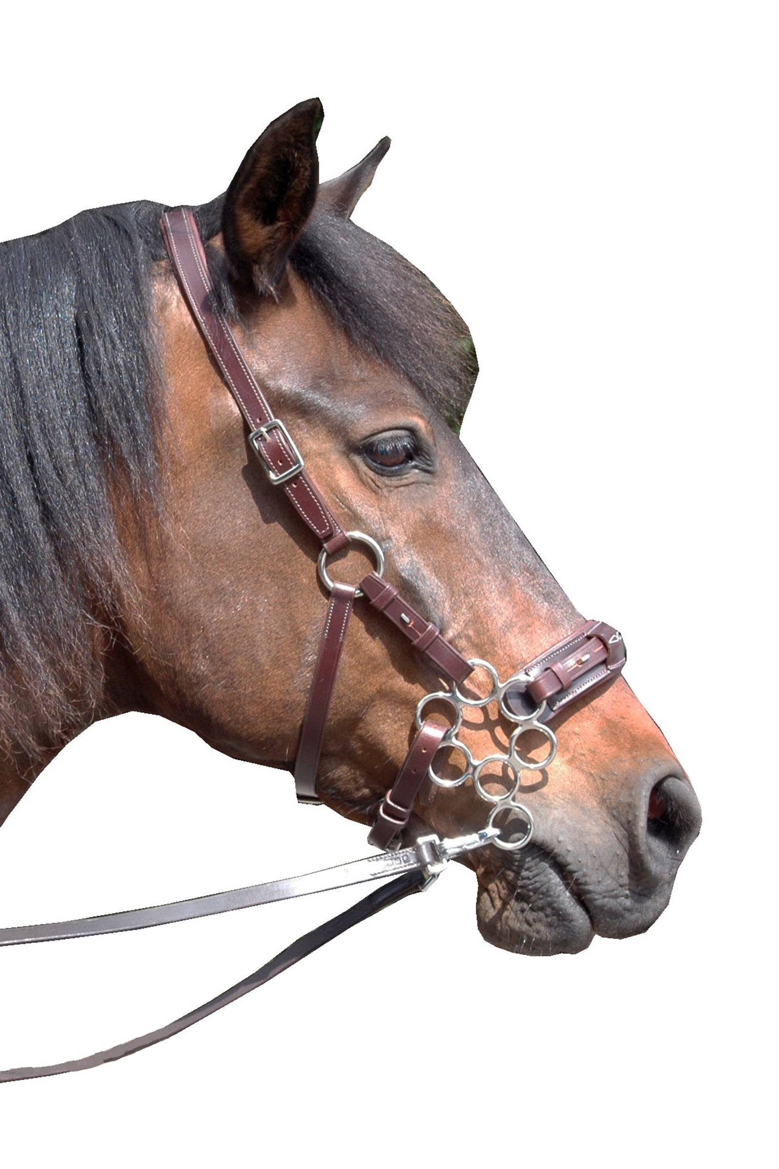 F.R.A. Freedom Riding Articles Aram hackamore (System 2) läder, käkrem och skänklar Träns & Tyglar