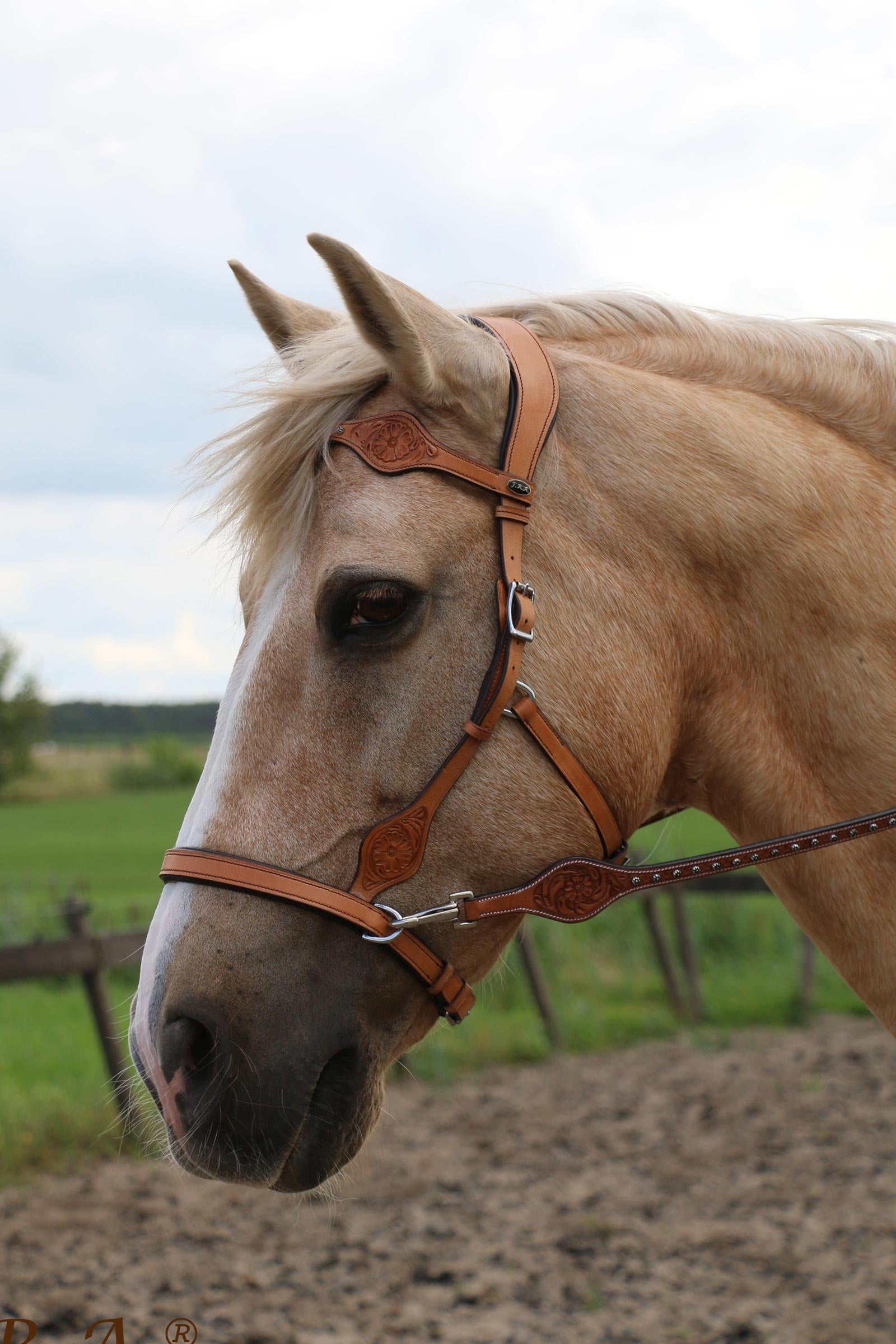 F.R.A. Freedom Riding Articles Dandy Sidepull With Reins (System 3) Bridles & Reins