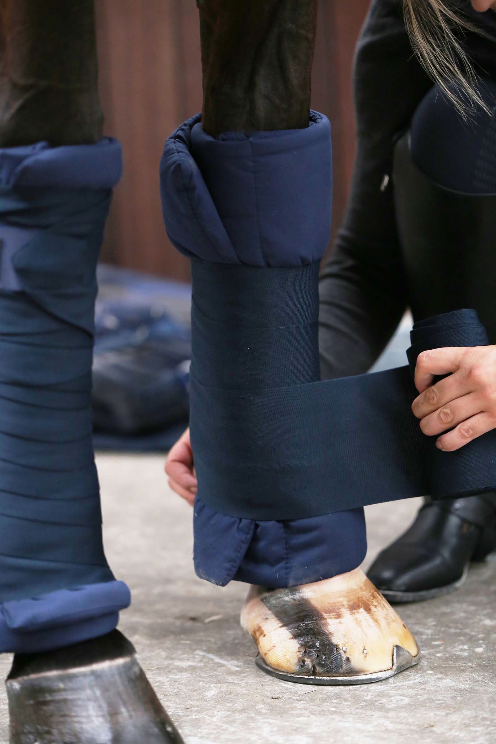 Kentucky Horsewear Repellent Bandages Leg Protection & Hoof Protection for Horses