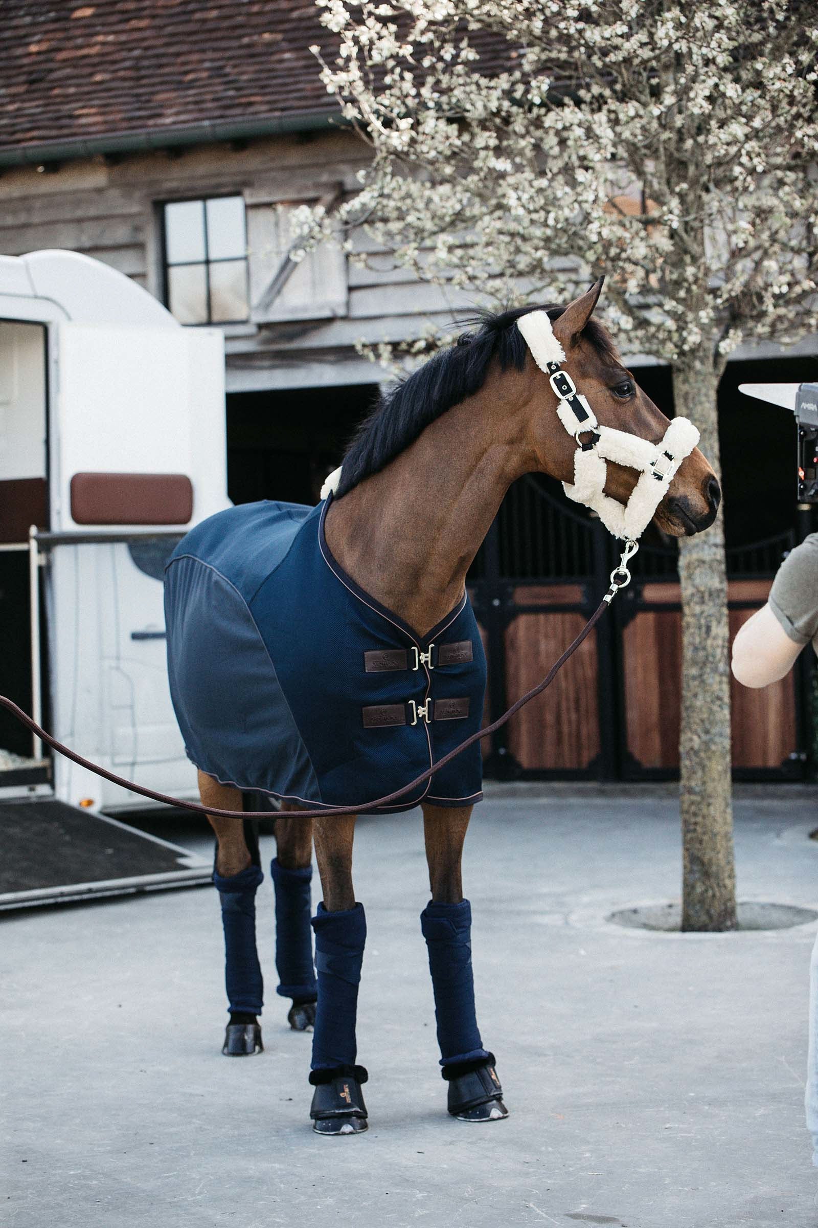 Kentucky Horsewear Repellent Bandages Leg Protection & Hoof Protection for Horses