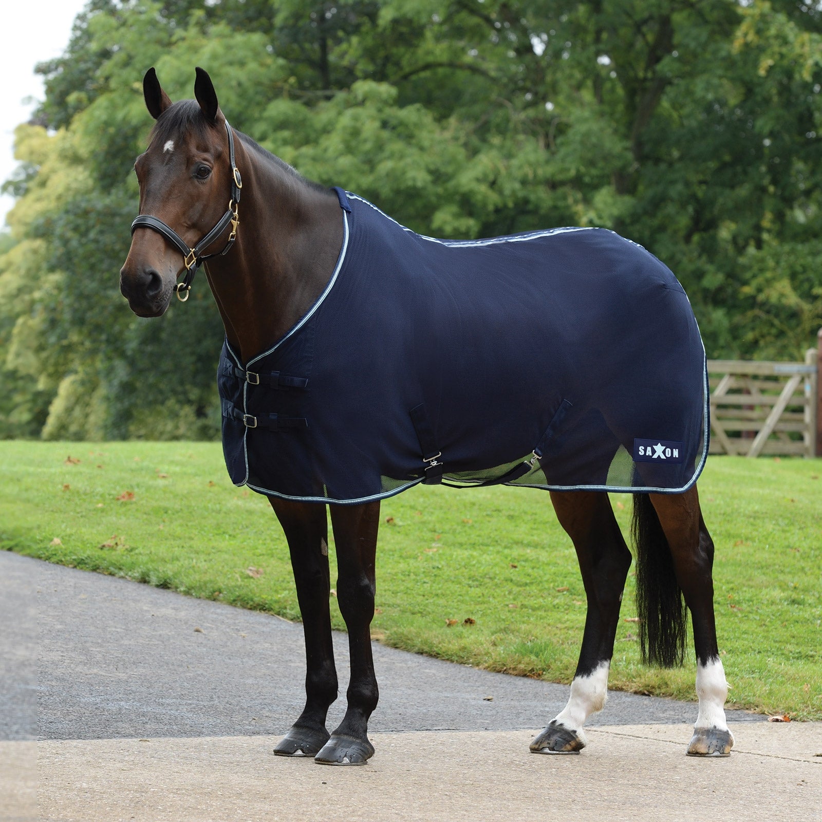 Saxon Element nättäcke standardhals Hästtäcken
