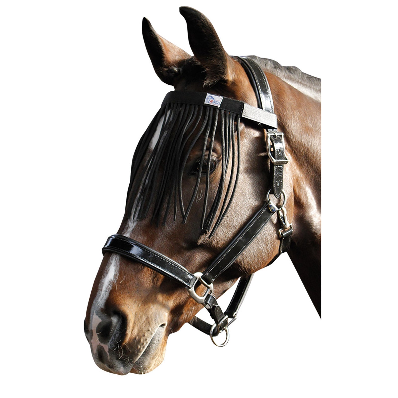 Harry's Horse flugpannband Flugskydd