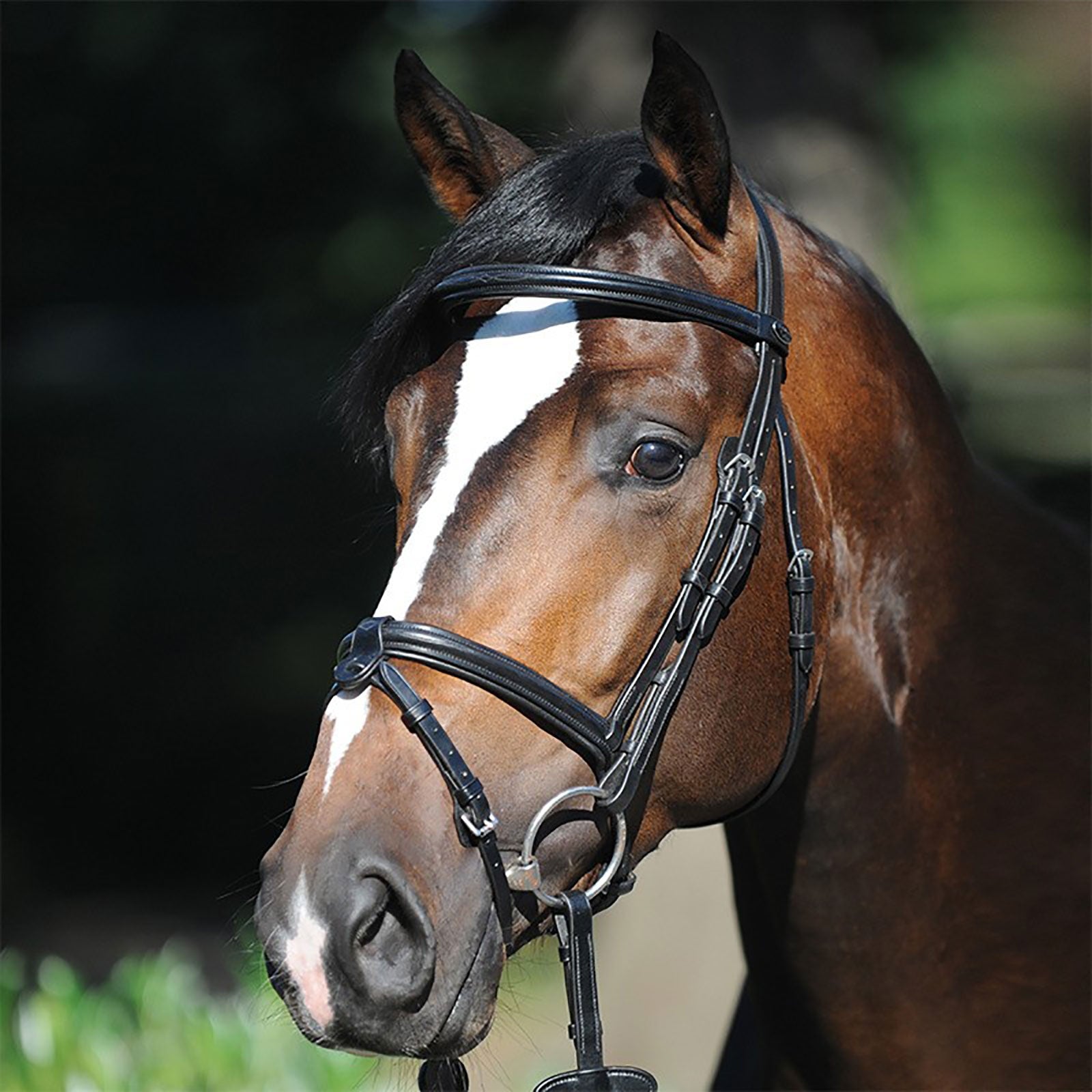 Kavalkade Lorenz Bridle Bridles & Reins