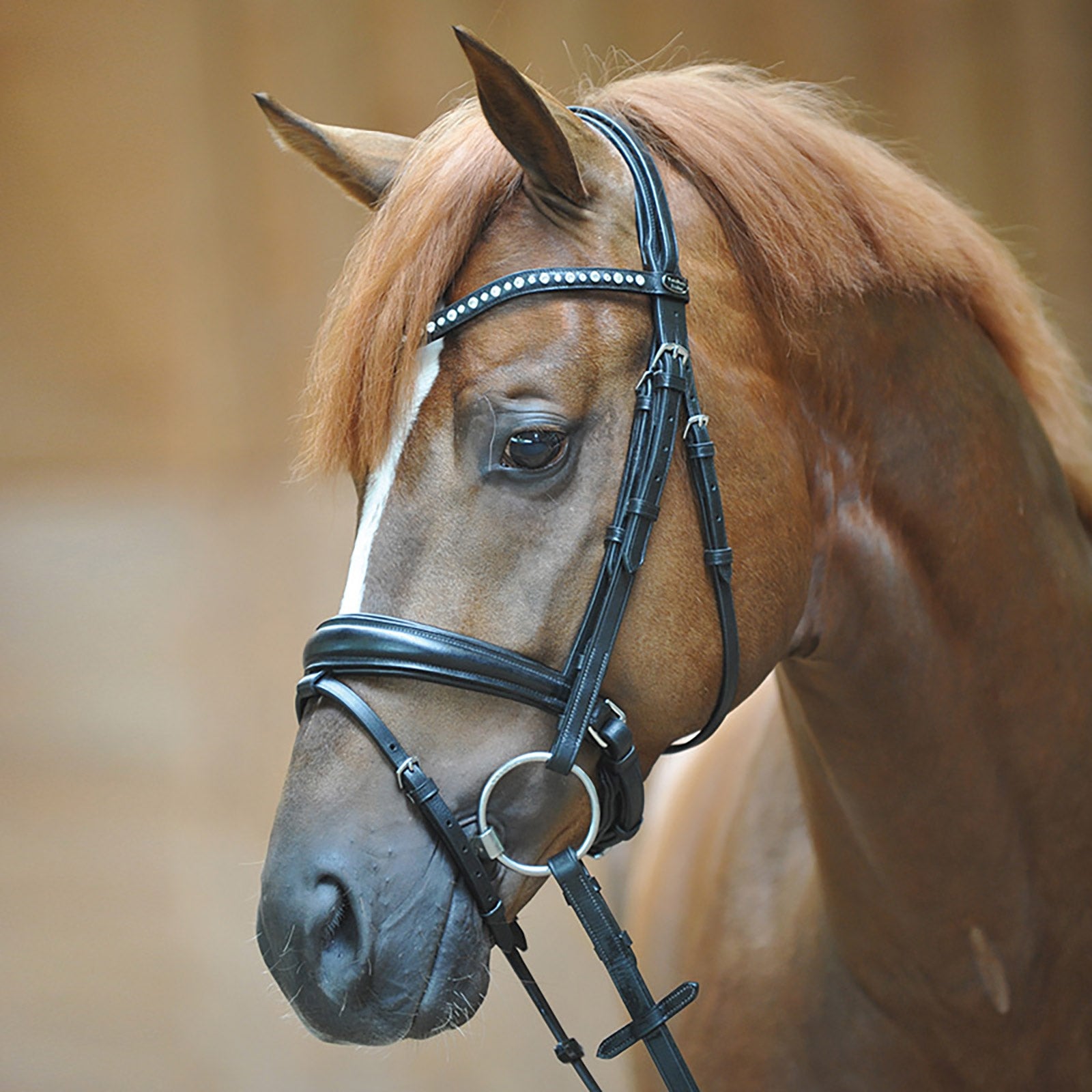 Kavalkade Bridle Mia, crank noseband w/ flash Bridles & Reins