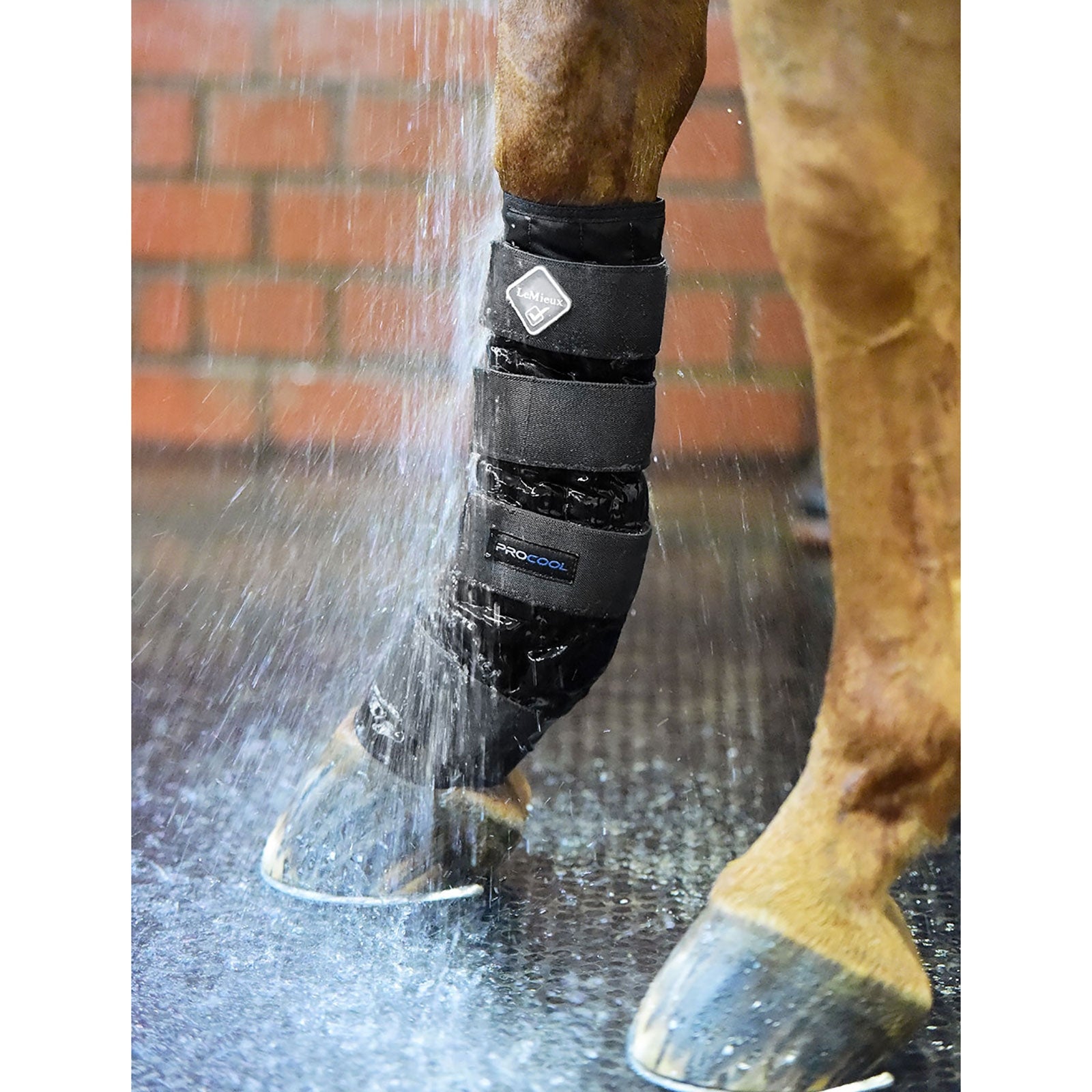LeMieux Cold Water bandage Leg Protection & Hoof Protection for Horses