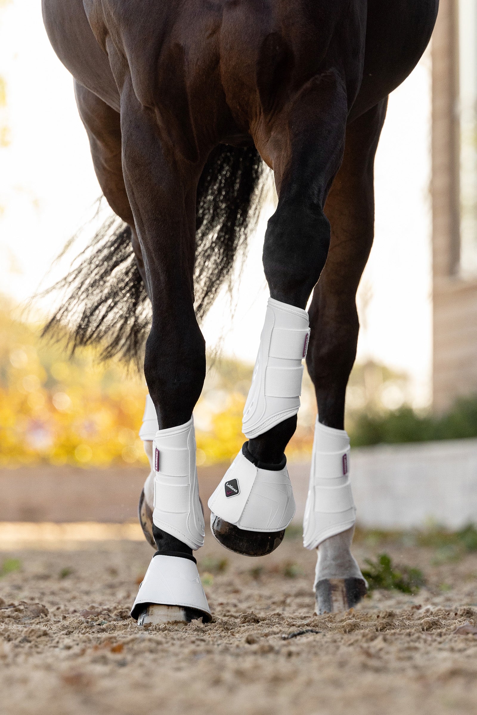 LeMieux ProShell boots Leg Protection & Hoof Protection for Horses