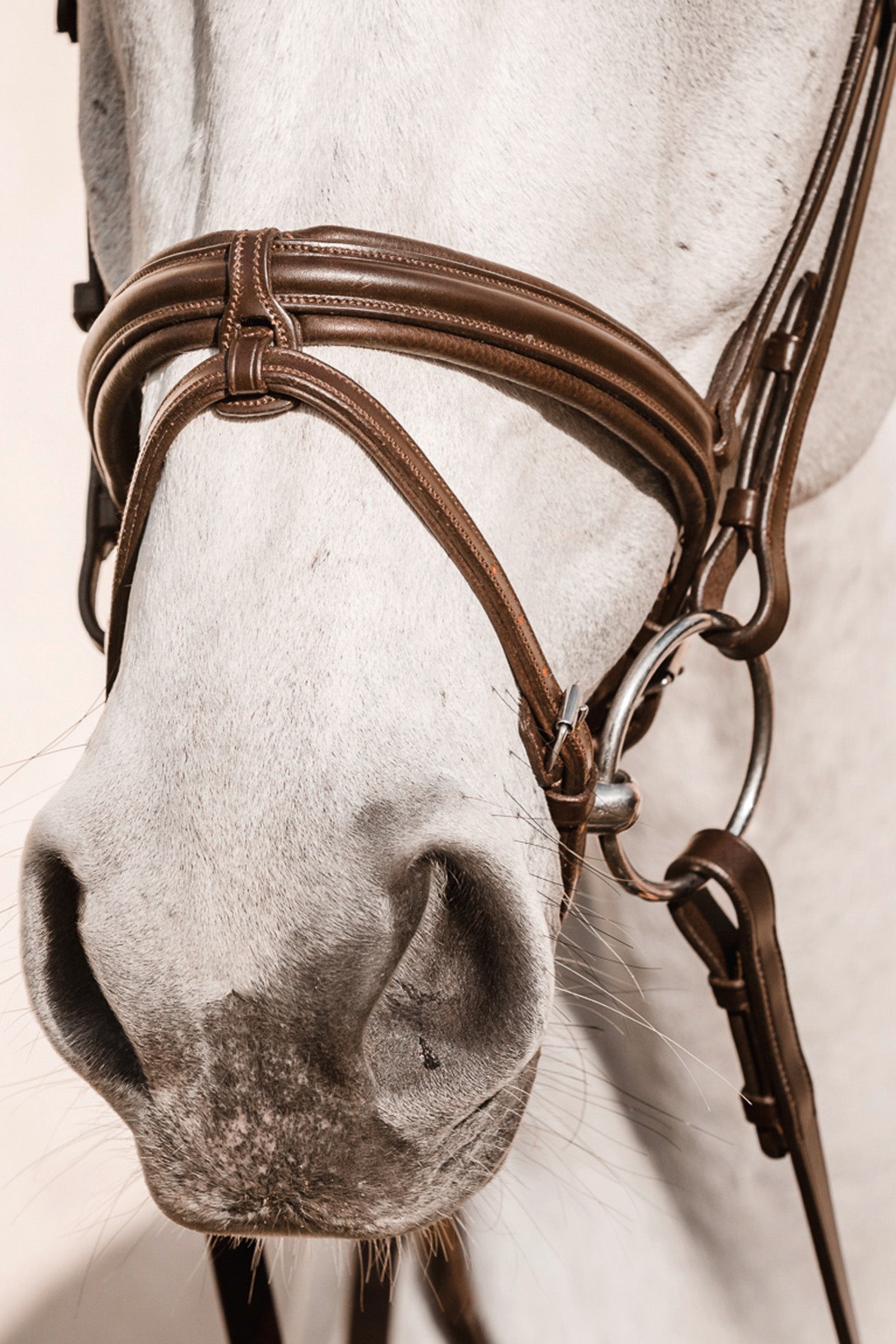 Schockemöhle Sports Noseband Tokyo Select Bridles & Reins