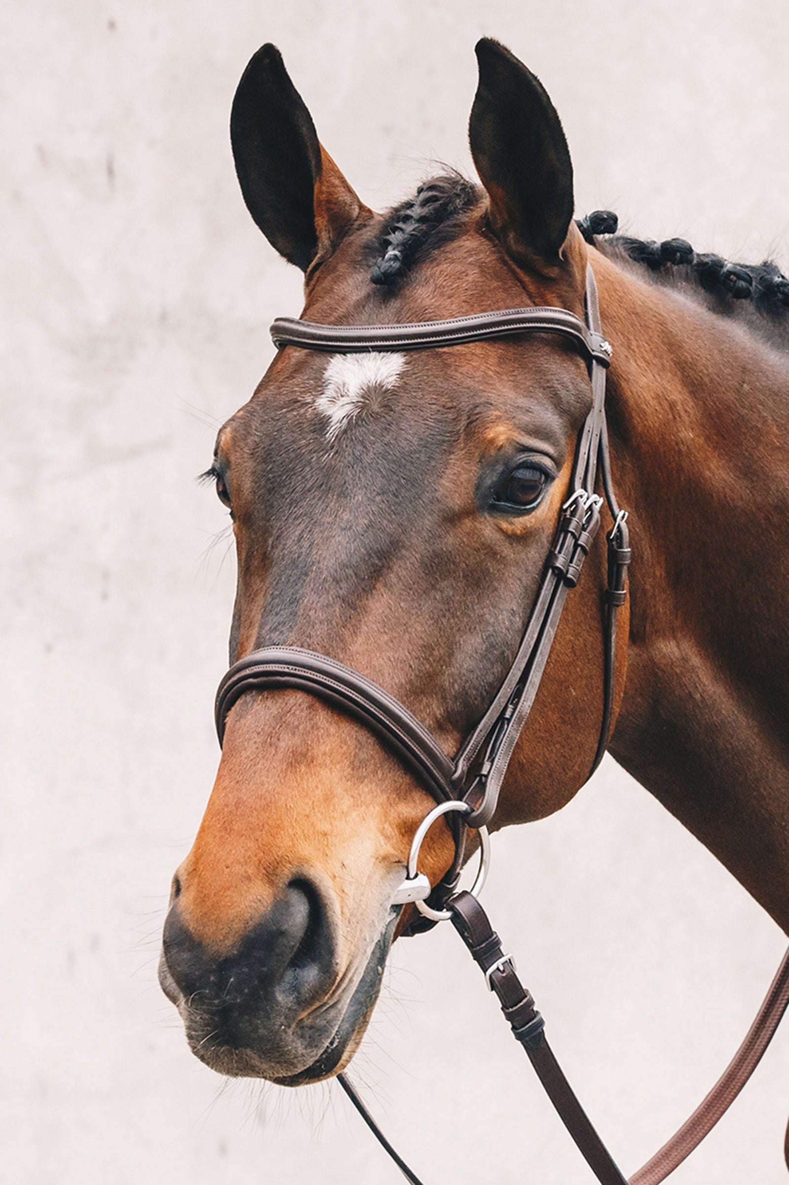 Schockemöhle Sports Tokyo Select Bridle Bridles & Reins