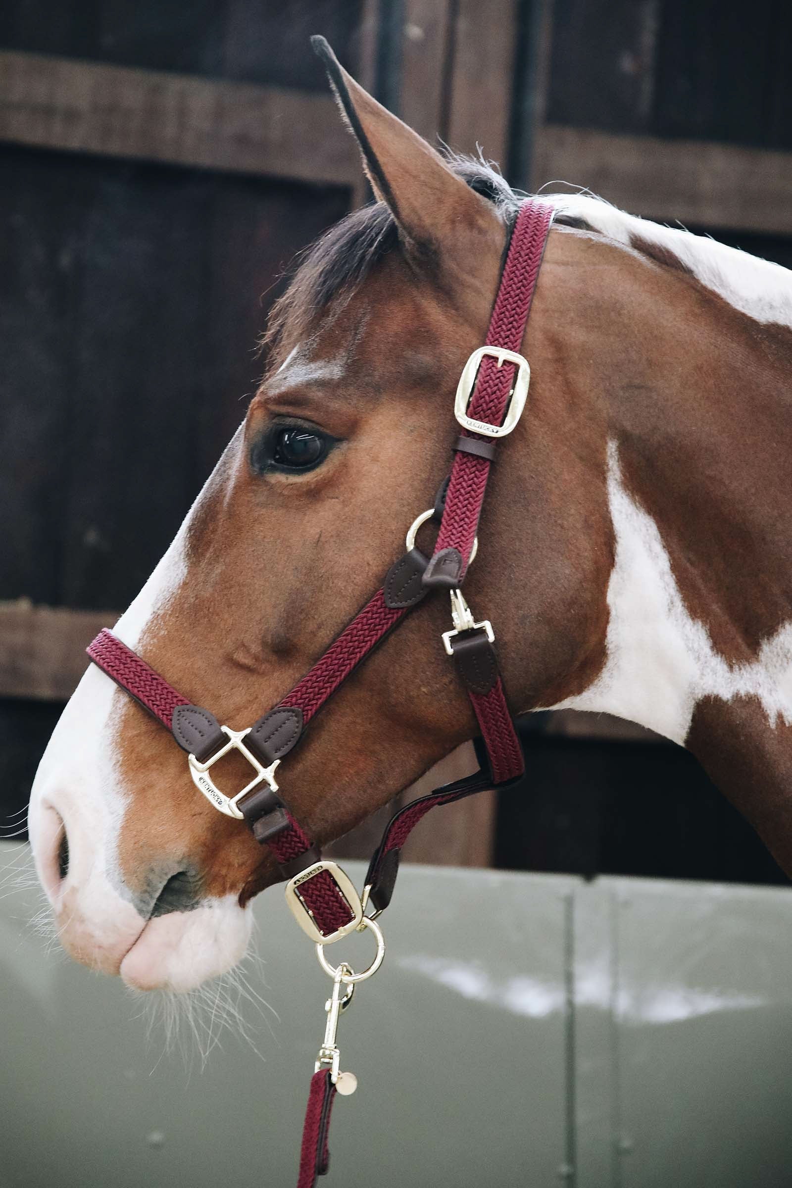 Kentucky Horsewear Kentucky Plaited Nylon Halter Halters & Leads