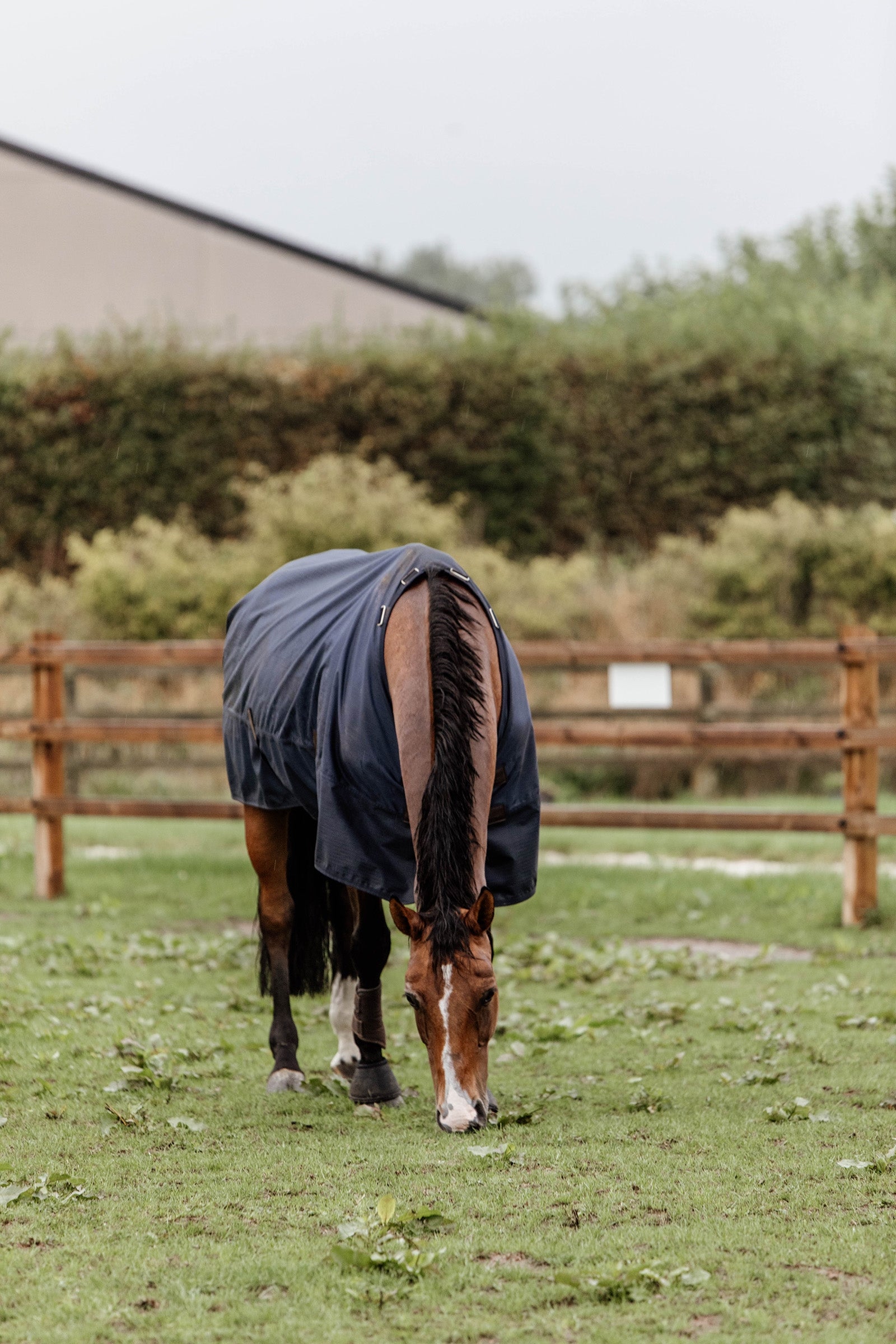 Kentucky Horsewear Turnout Rug All Weather, 300g Horse Rugs