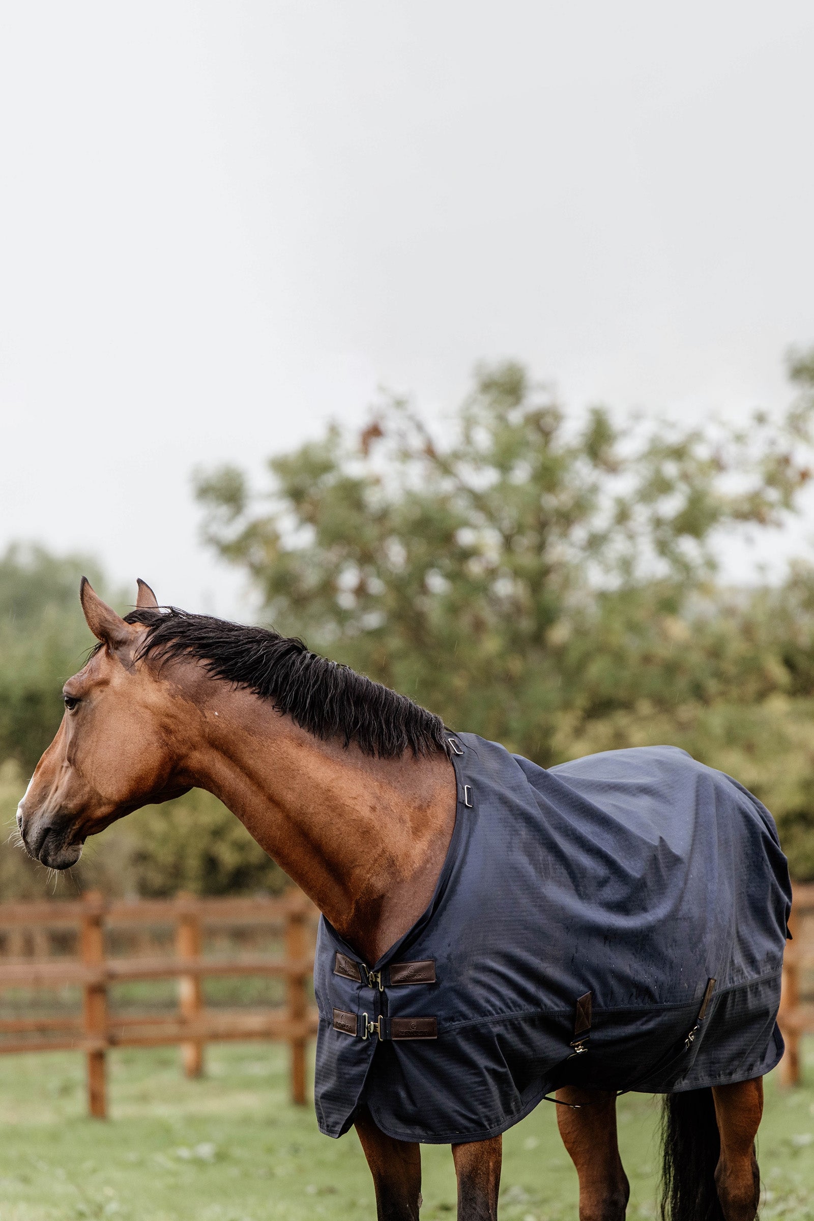 Kentucky Horsewear Turnout Rug All Weather, 300g Horse Rugs
