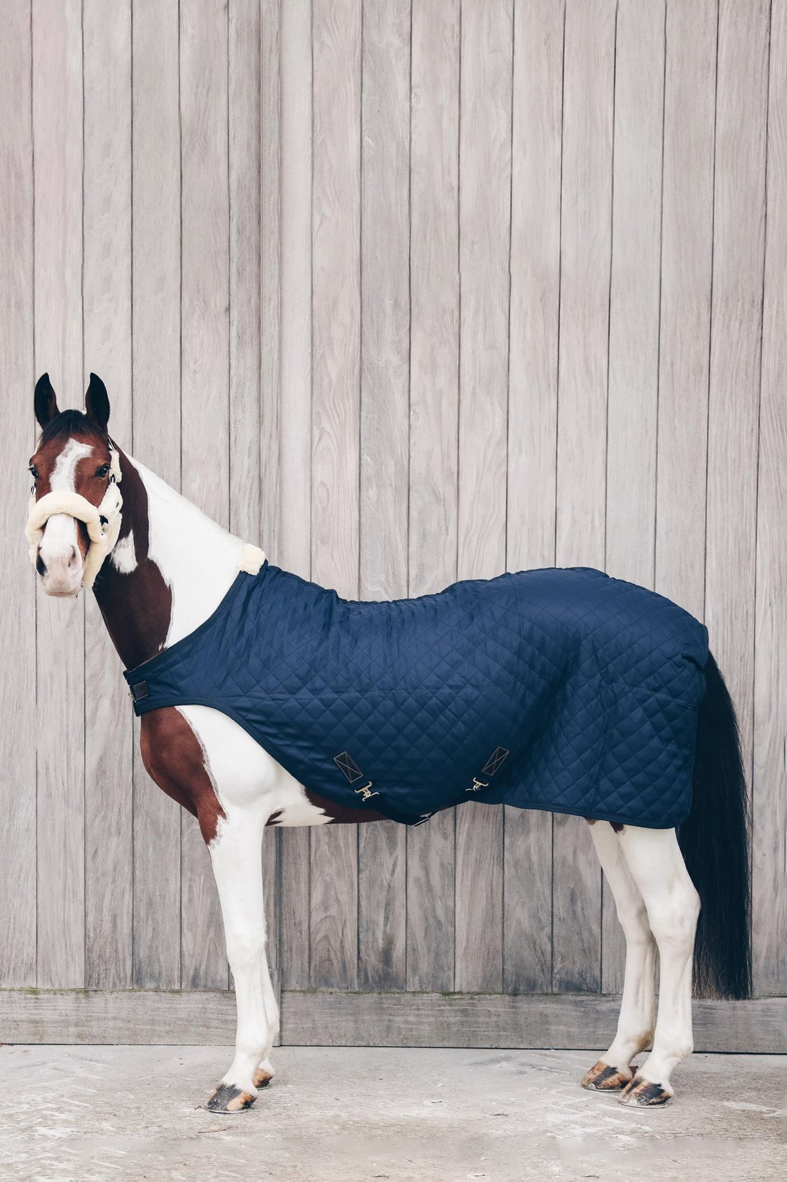 Kentucky Horsewear skrittäcke, 160 g Hästtäcken