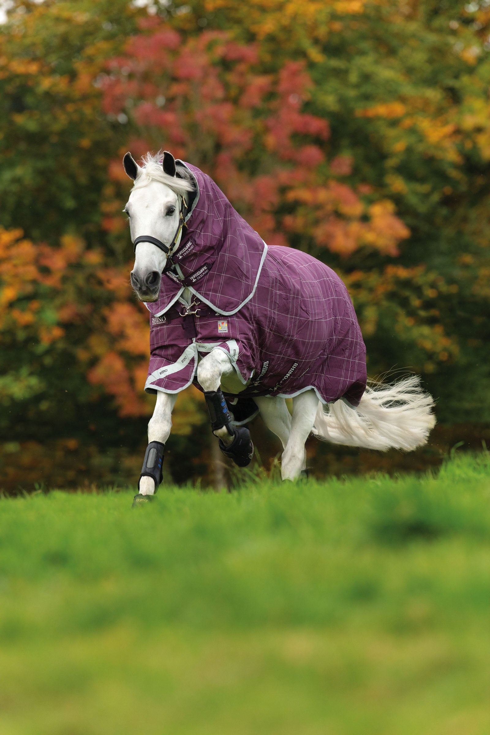 Horseware Rhino Plus Vari-Layer Turnout Rug with Detachable Neck, 450g Horse Rugs