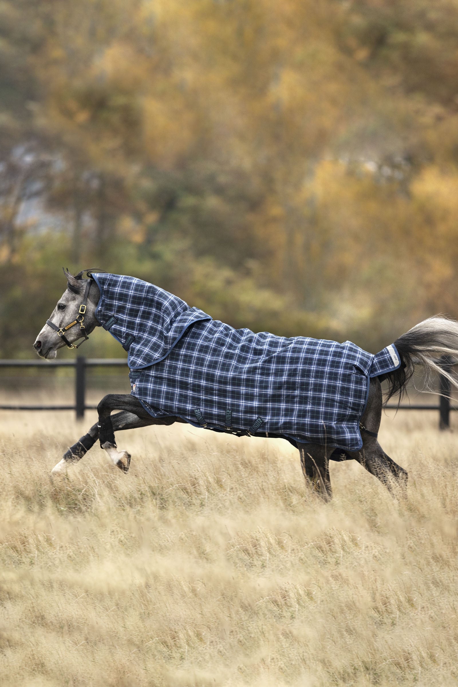 Horseware Rhino Plus Vari-Layer Turnout Rug With Detachable Neck, 250g Horse Rugs