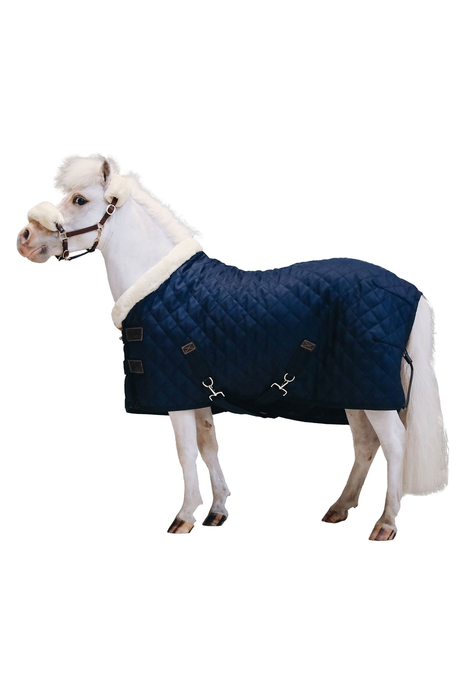 Kentucky Horsewear Tiny  Show Rug Stable Rug, 160g Horse Rugs
