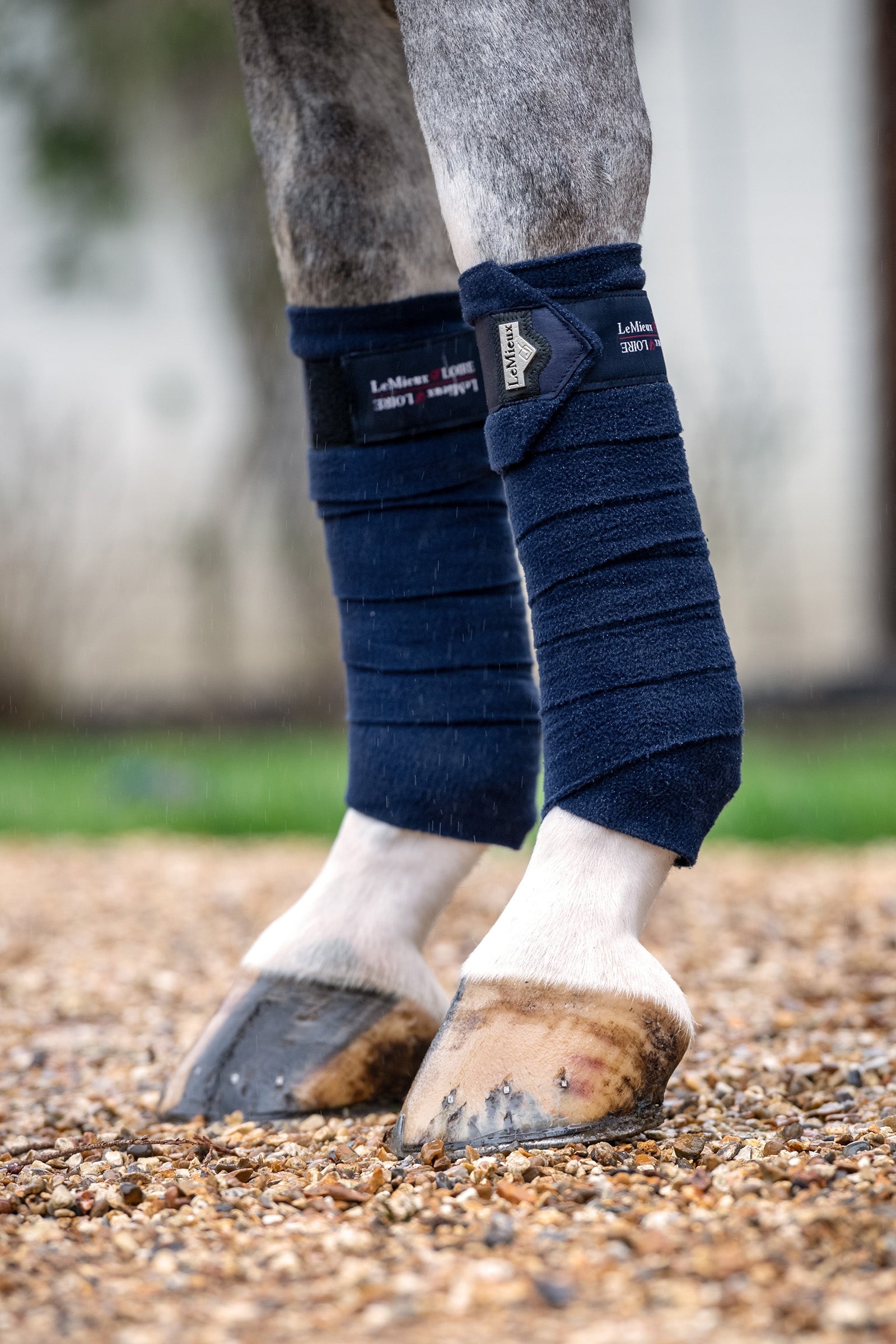 LeMieux Loire Polo lindor Leg Protection & Hoof Protection for Horses