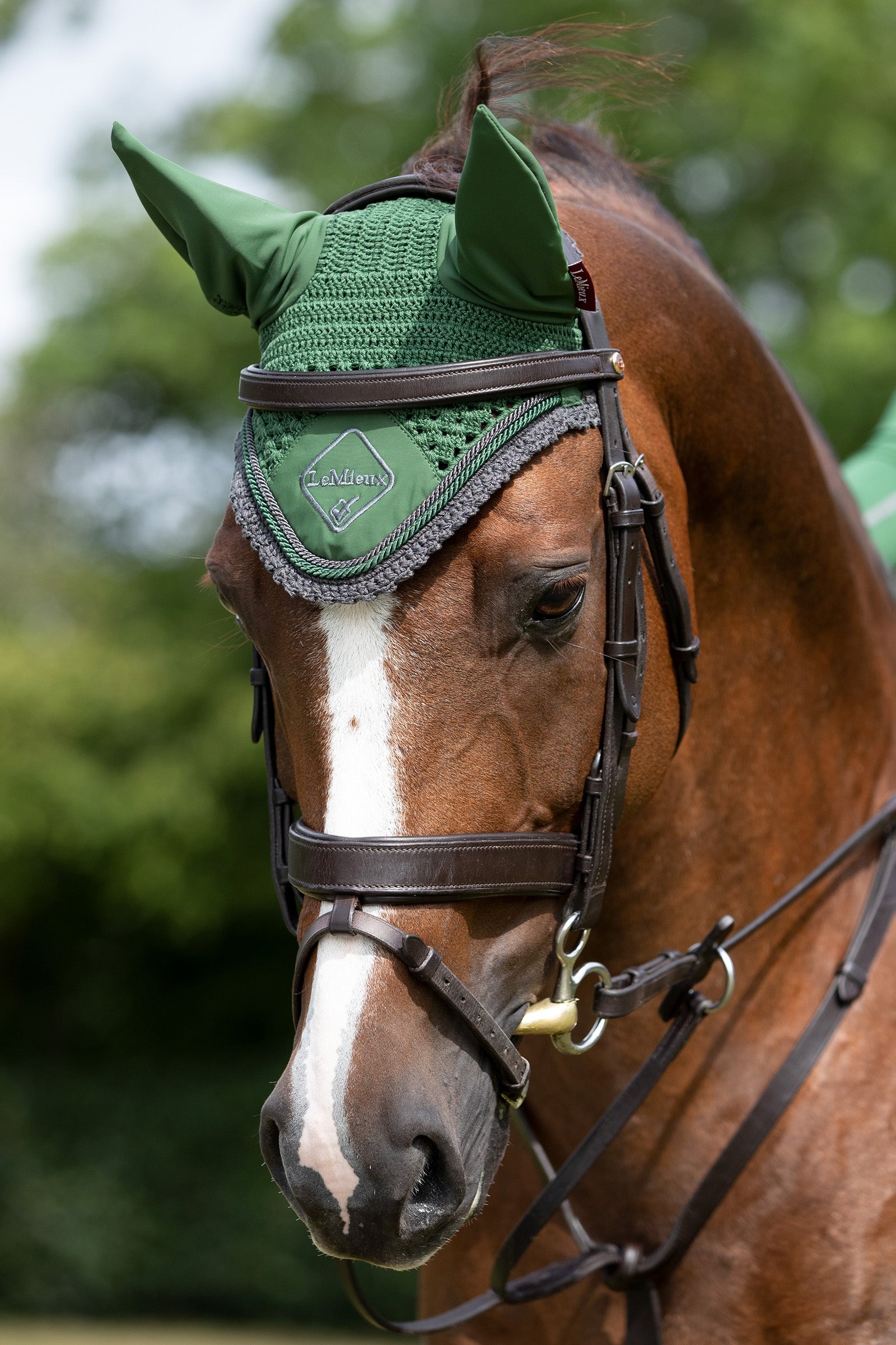 LeMieux Classic Fly Hood Saddle Pads