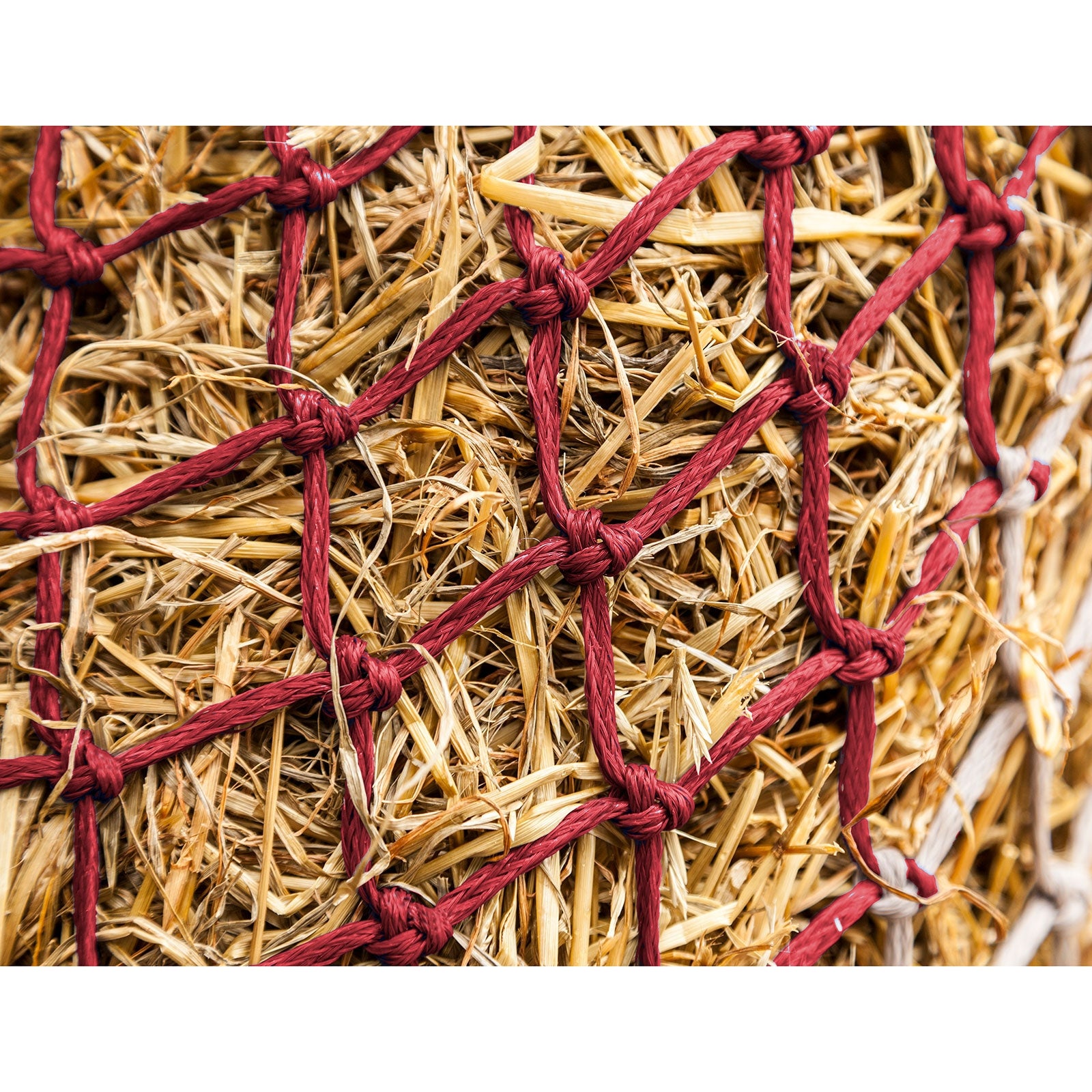 LeMieux Hippo hönät Utfodring & vattning