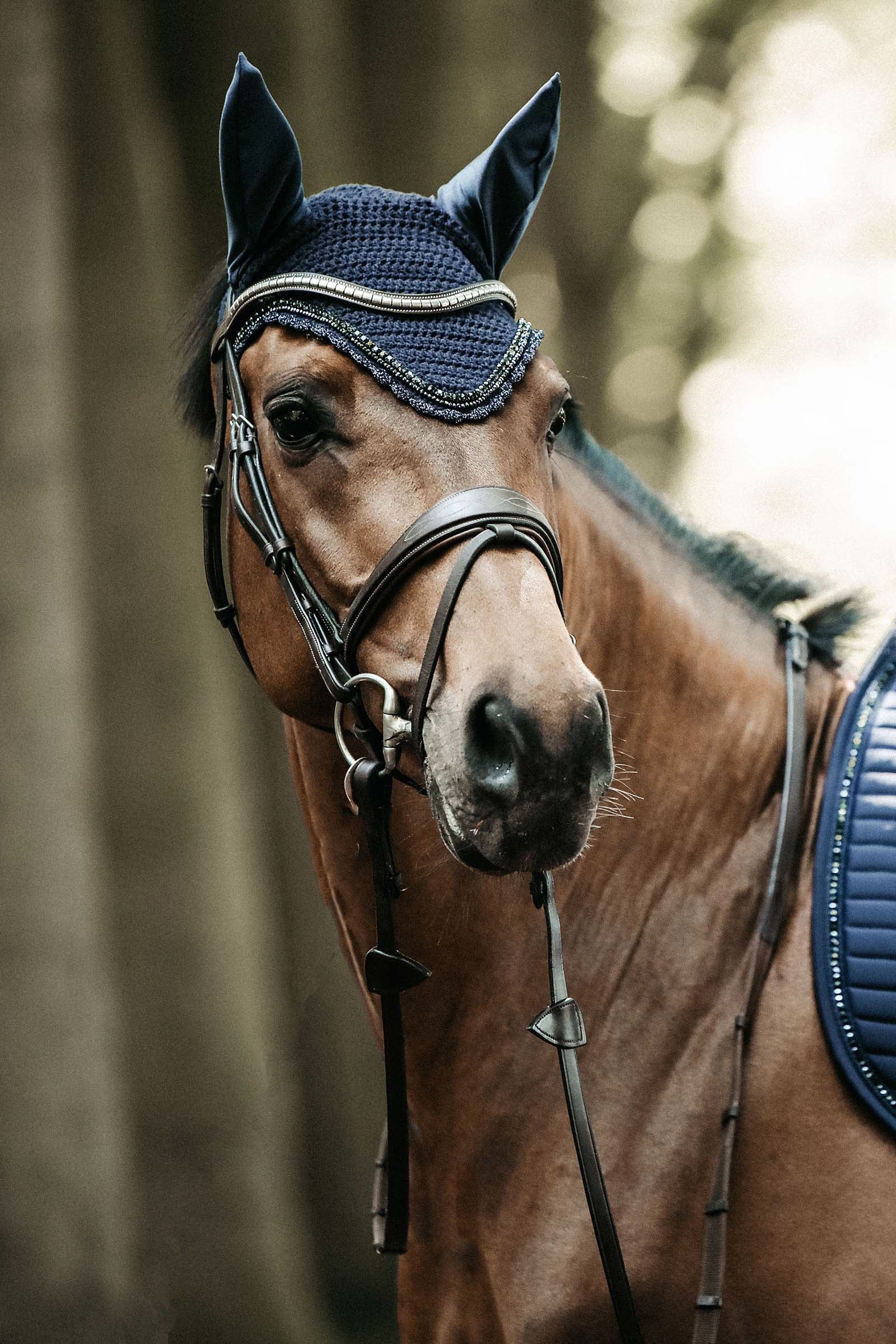 Kentucky Horsewear Fly Veil Long Stone & Pearl Soundless Saddle Pads