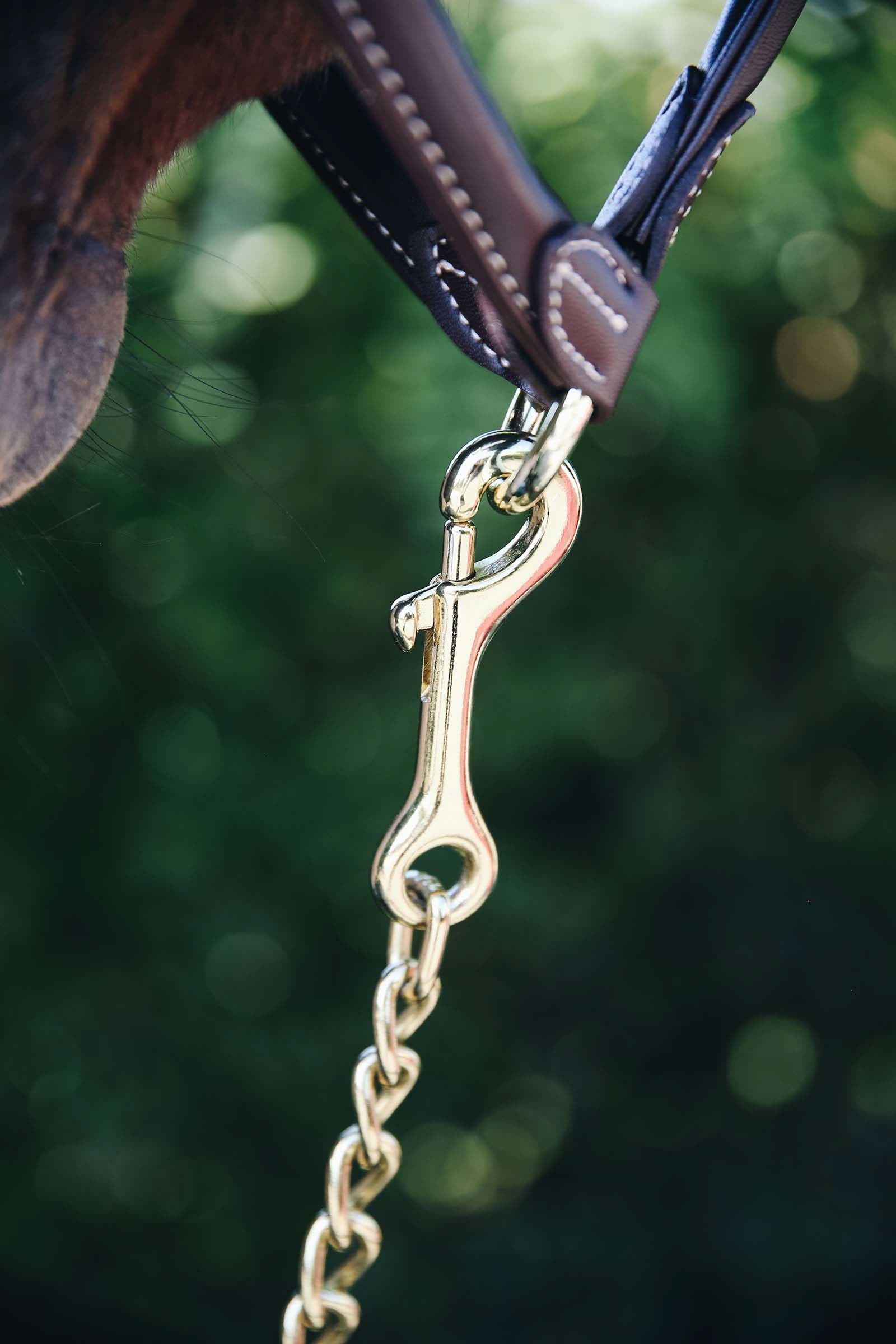 Kentucky Horsewear Stallion Chain 60 Cm Halters & Leads