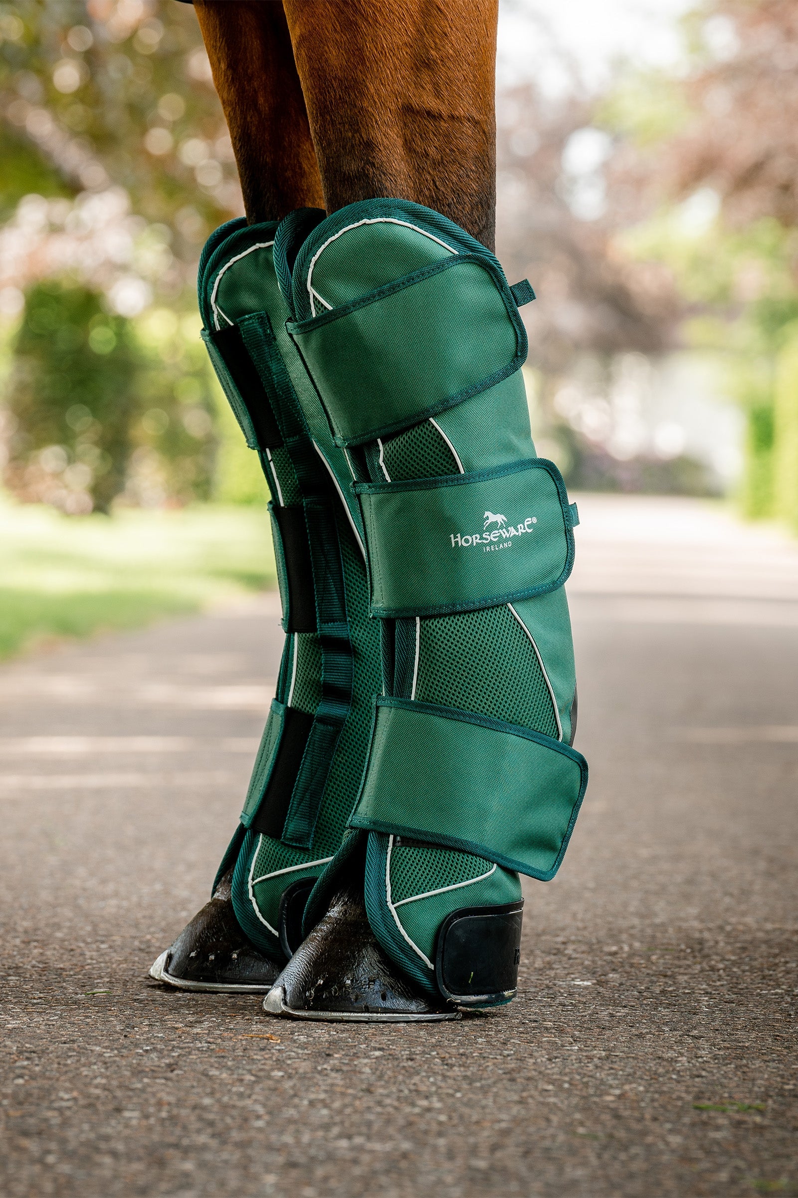 Horseware Signature Transport Benlindor Leg Protection & Hoof Protection for Horses