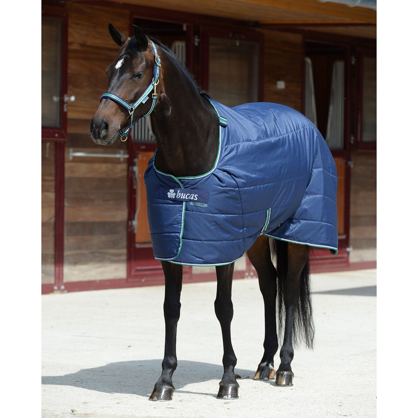 Bucas Quilt 150 g SD Big Neck Hästtäcken